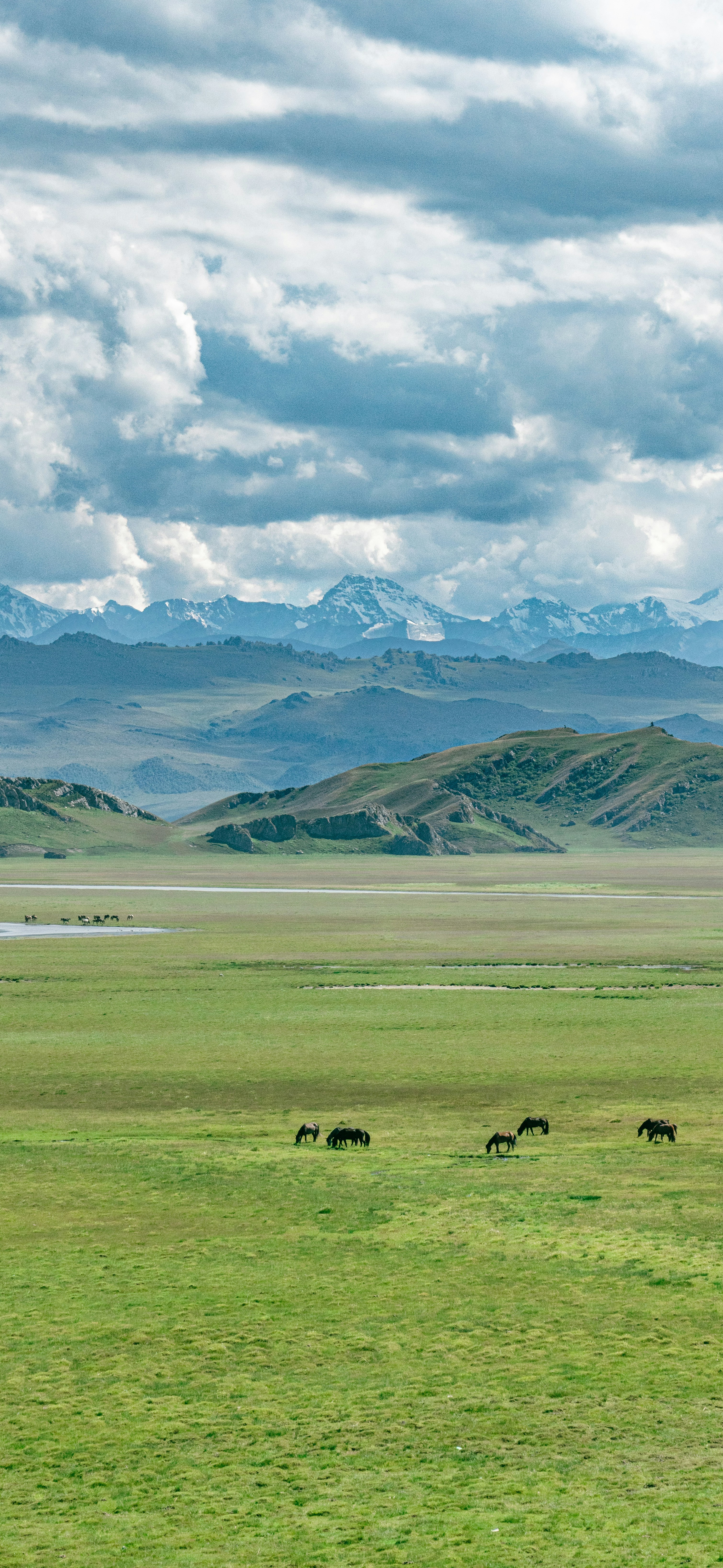 Photo by juniperphoton