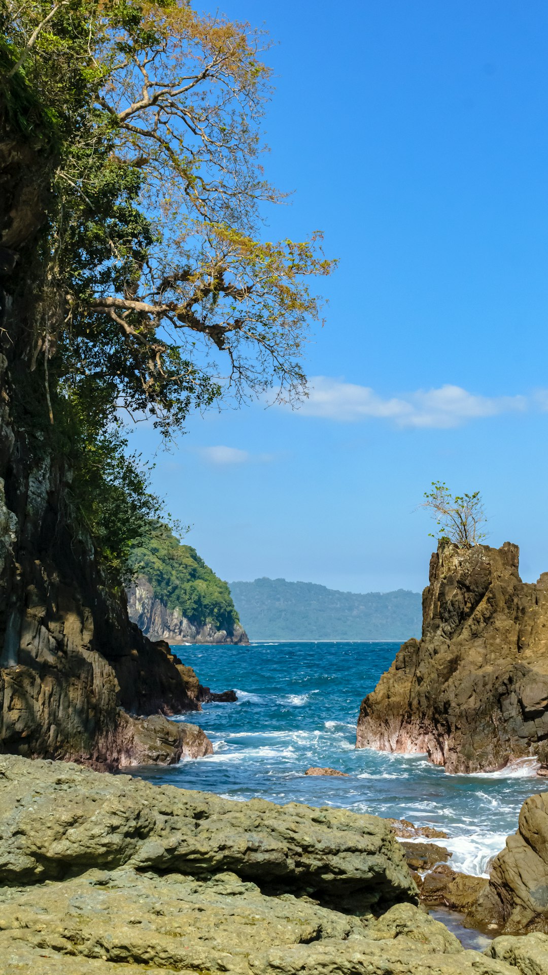 Watercourse photo spot Teluk Hijau Banyuwangi Regency