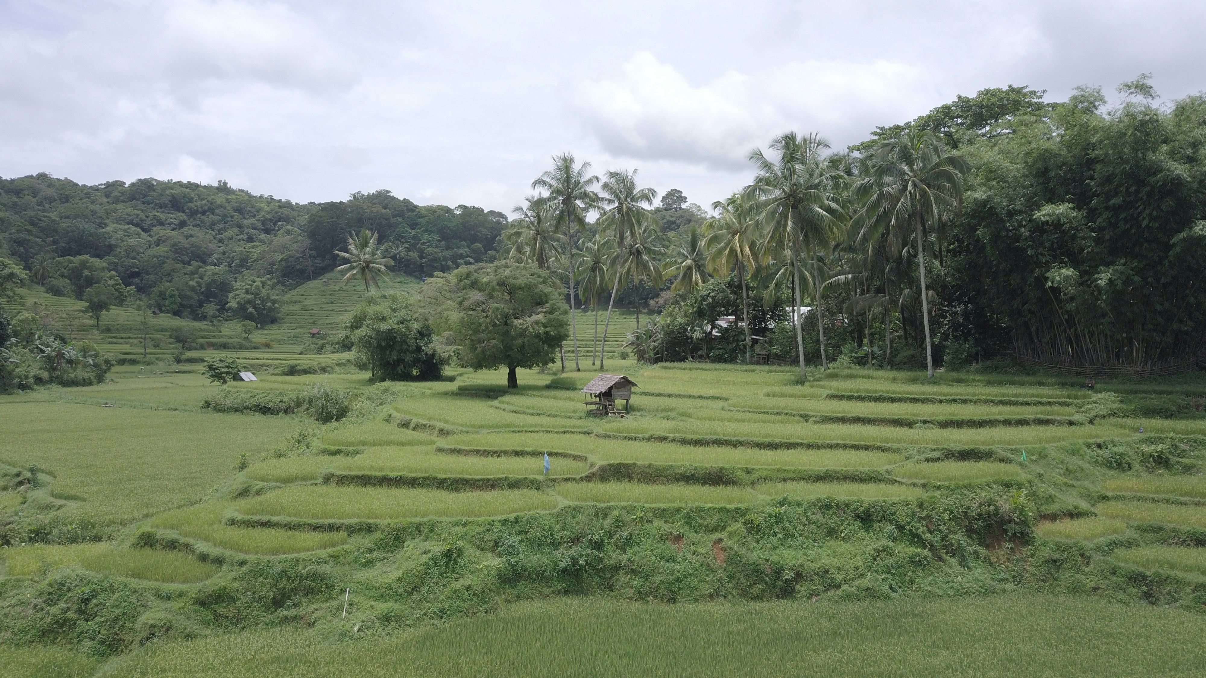 Photo by hasbidocumentary