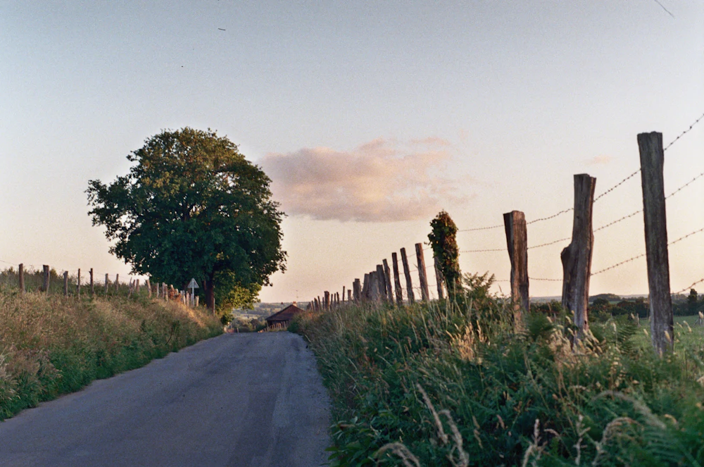 Country road beside an old post fence at sunset