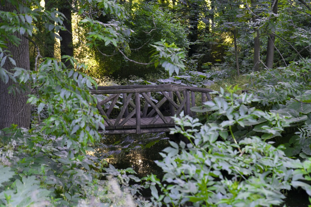 a wooden bridge in a forest