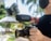 A person holds a professional video camera equipped with a large lens and a RØDE microphone. The person is wearing a black face mask and a dark shirt. The camera has a mounted external monitor. The background features blurred greenery and palm trees, suggesting an outdoor setting.