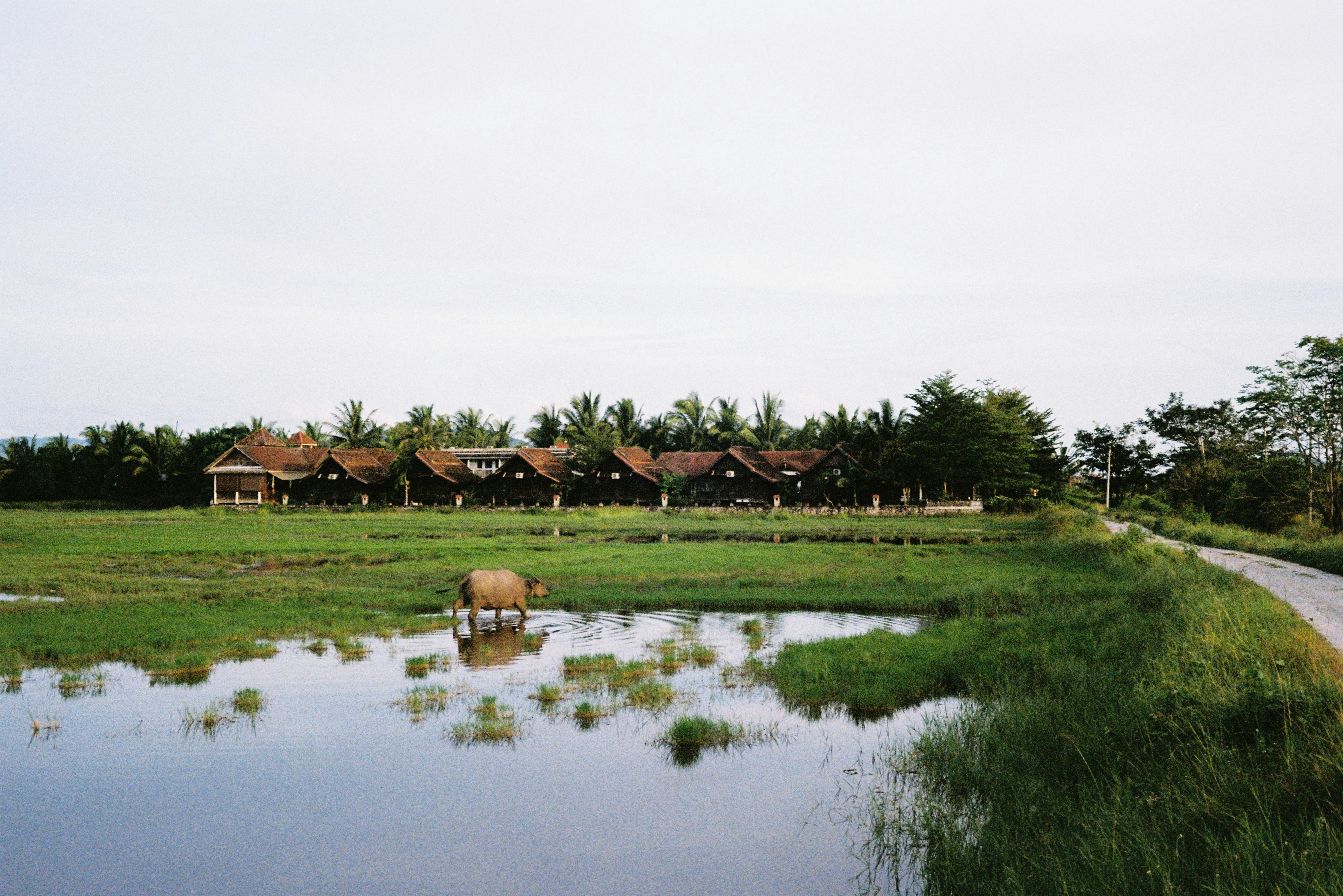 Angkor Silk Farm