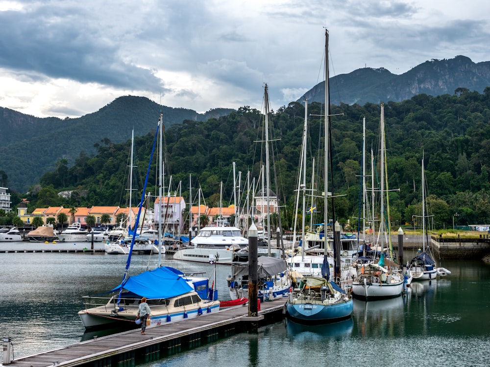 Un grupo de barcos se sientan en un puerto