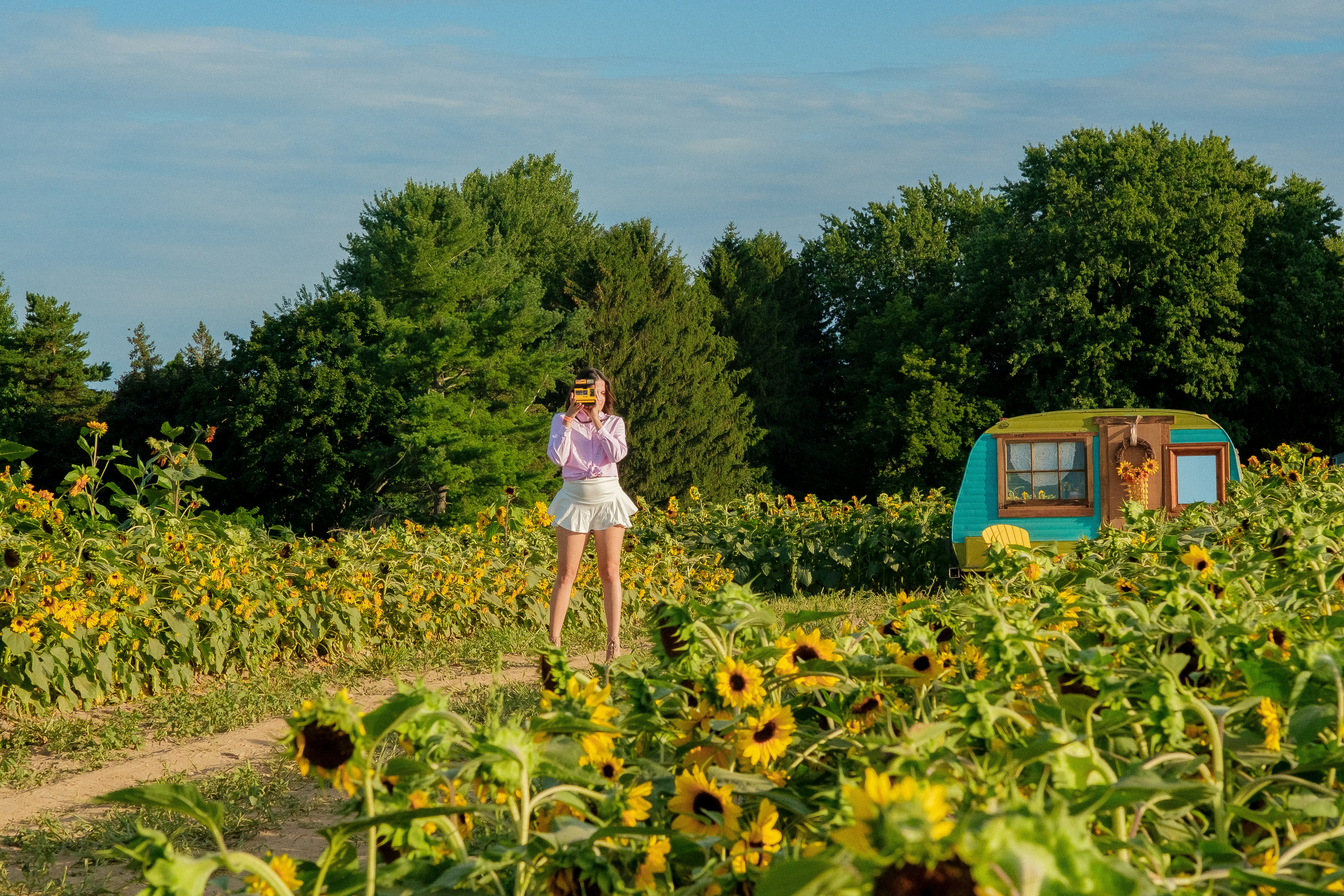 A person standing in a field of flowers photo – Free Sunflower Image on ...