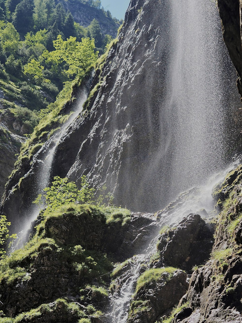 a waterfall in a forest