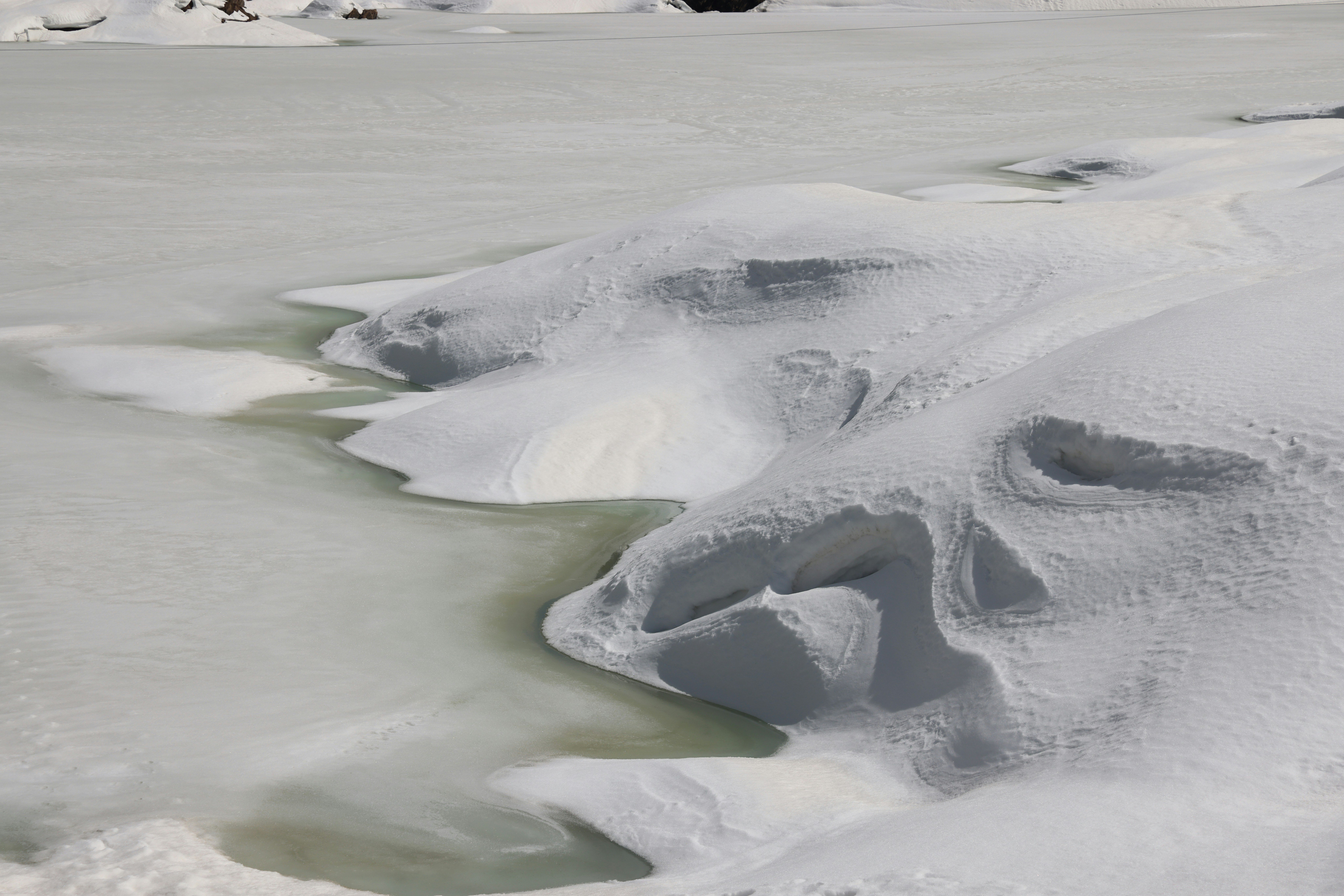 a large area of ice