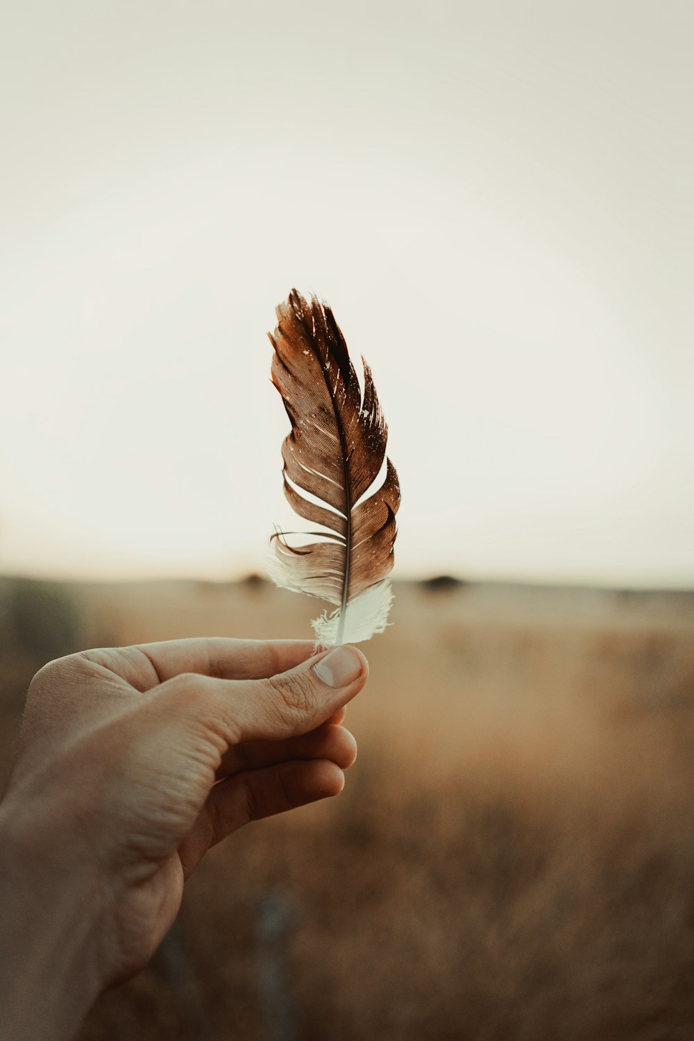 a hand holding a leaf