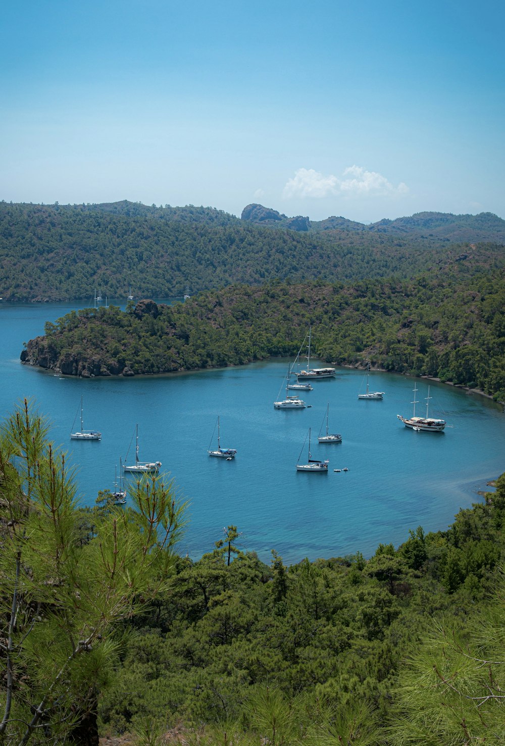 a body of water with boats in it and trees around it