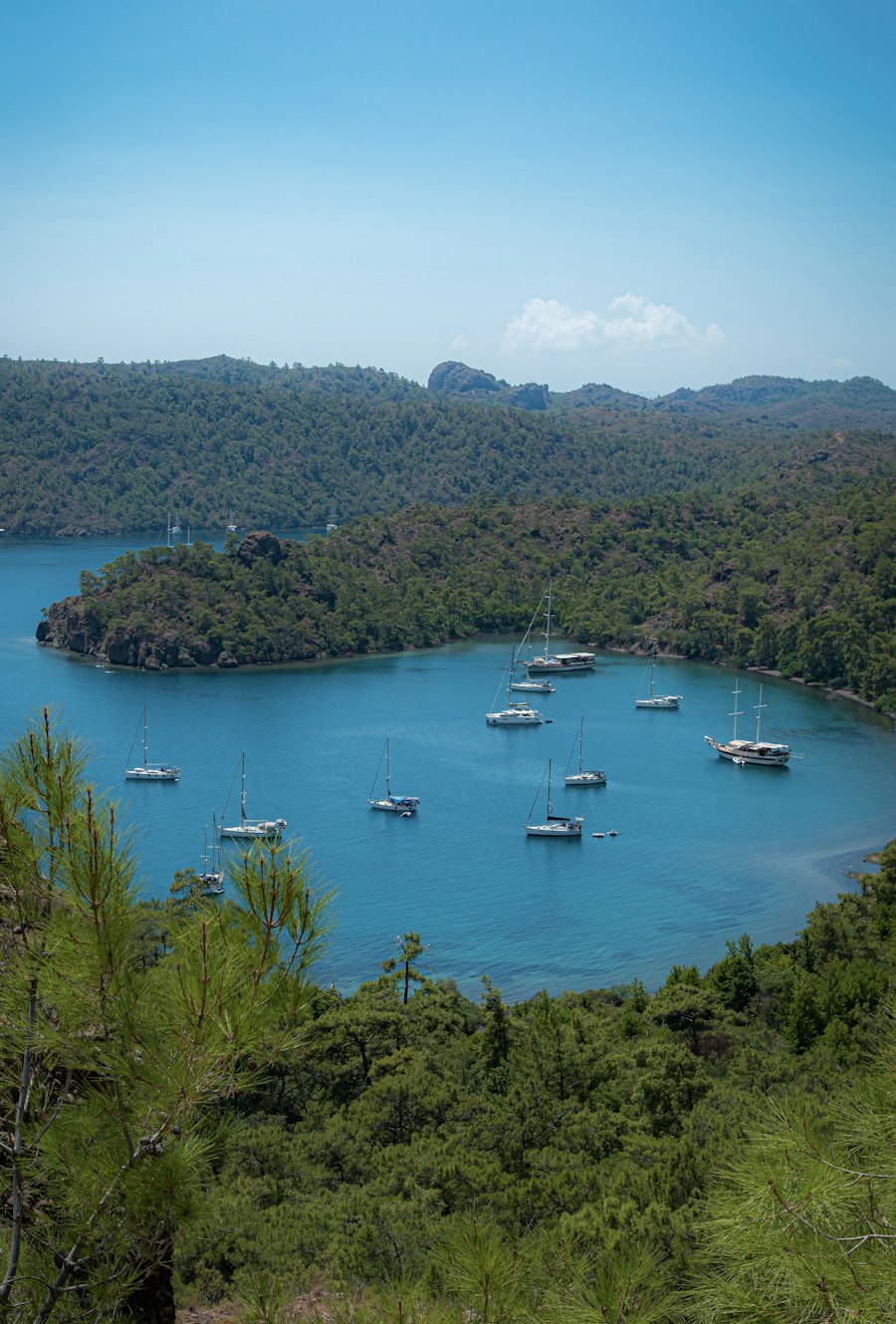 Fly to Bodrum for a private gulet cruise.