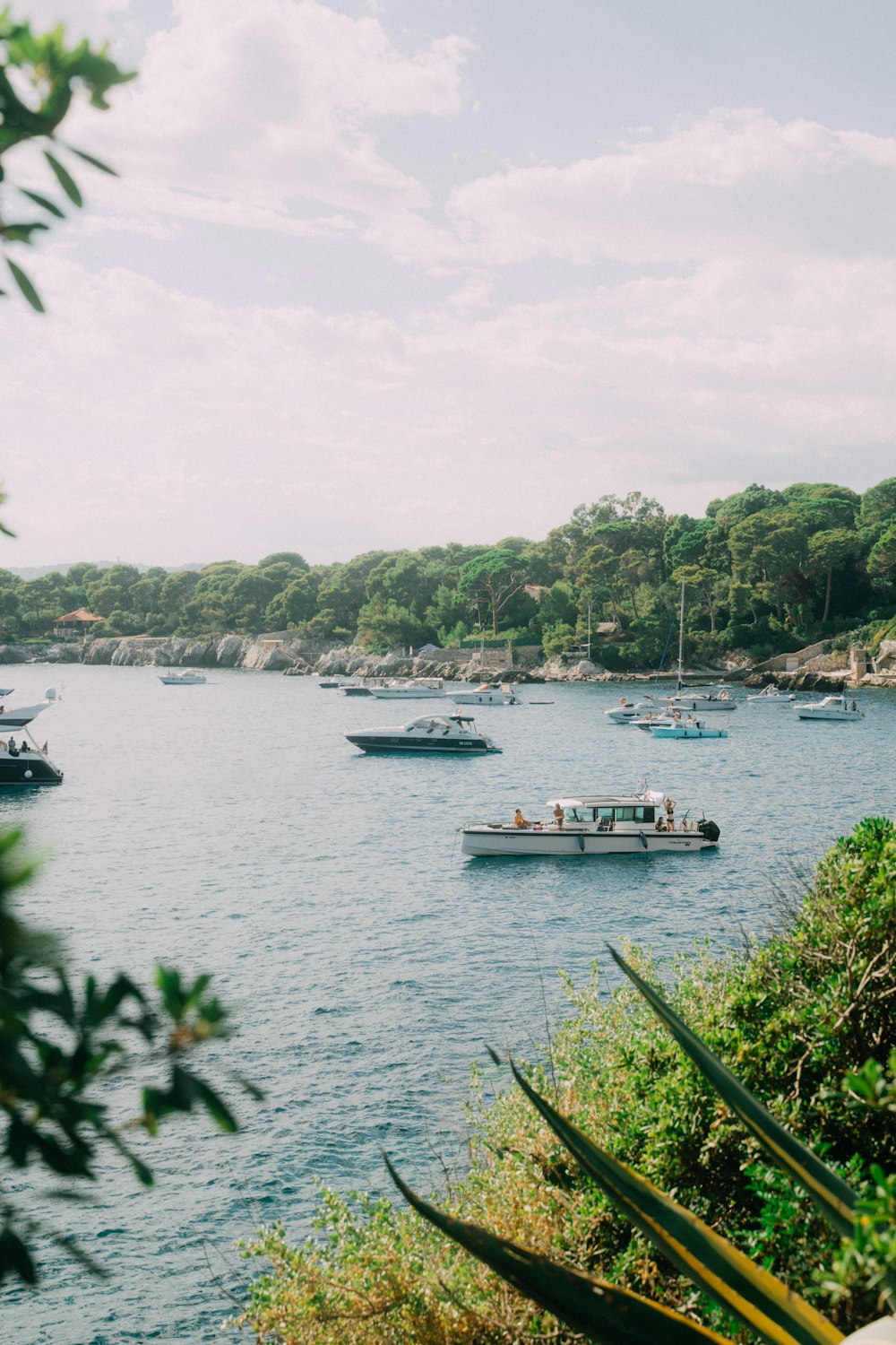 a group of boats on a lake