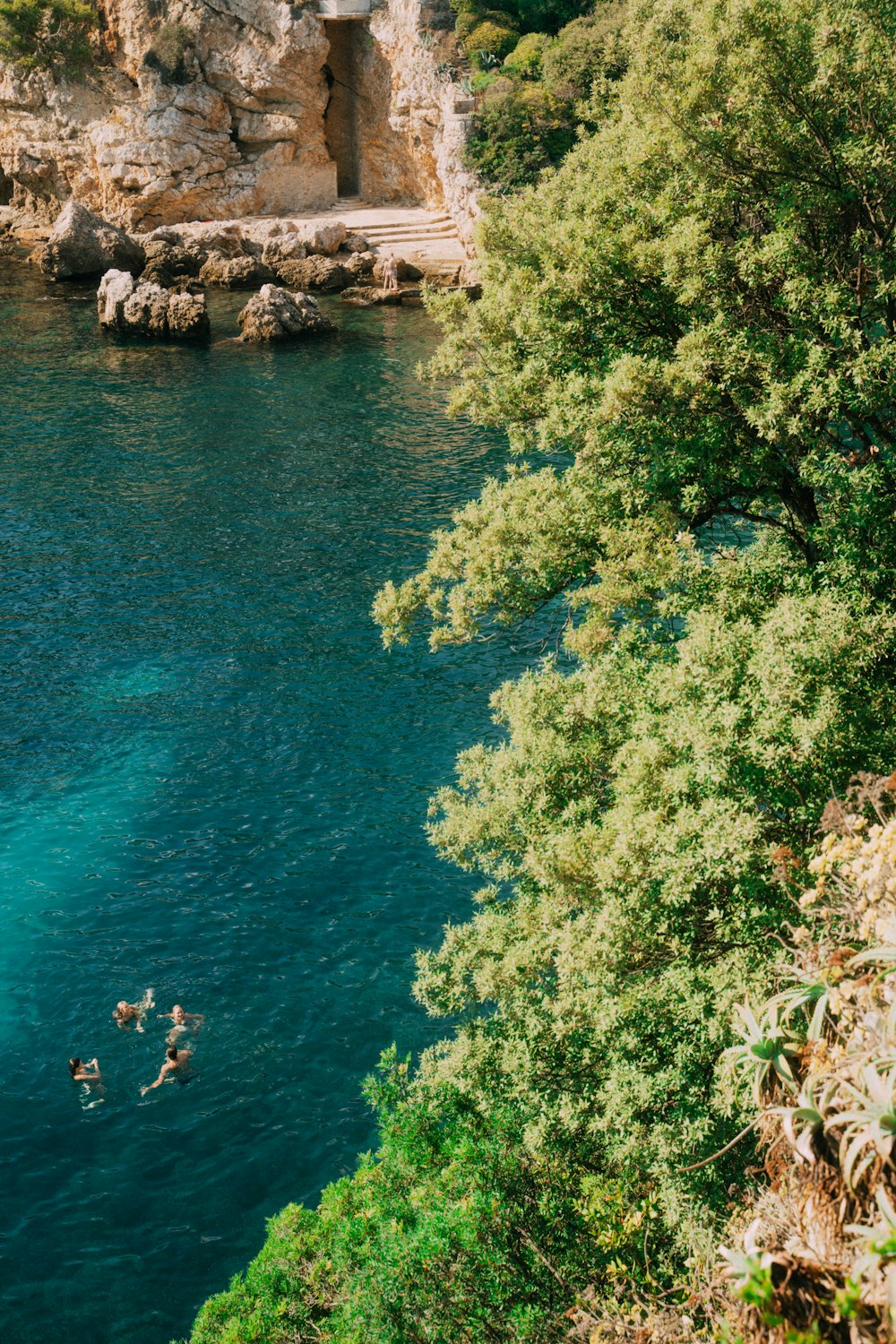 a group of people swimming in a river