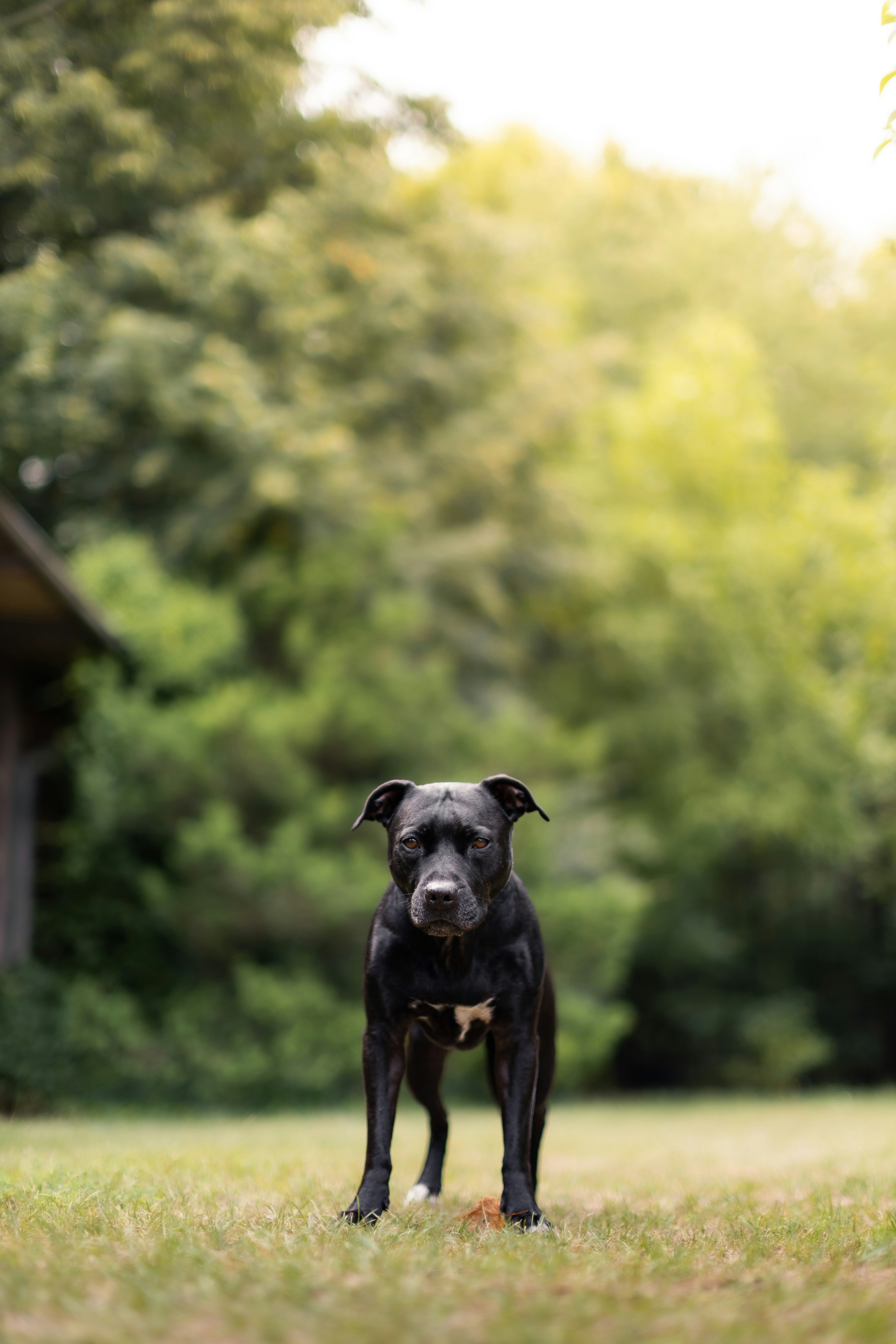 Photo by victor_vector