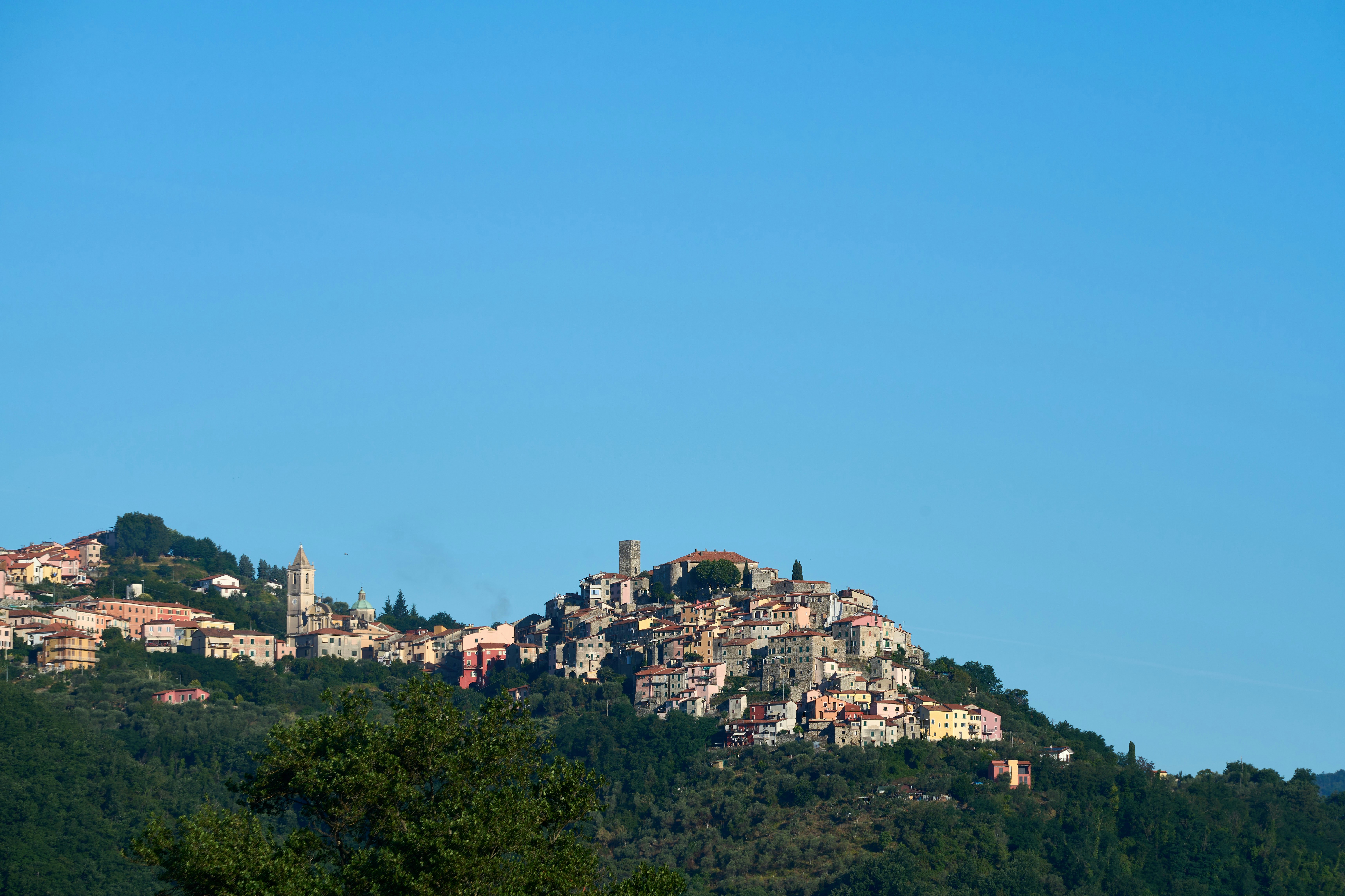 Photo by wolfgang_hasselmann