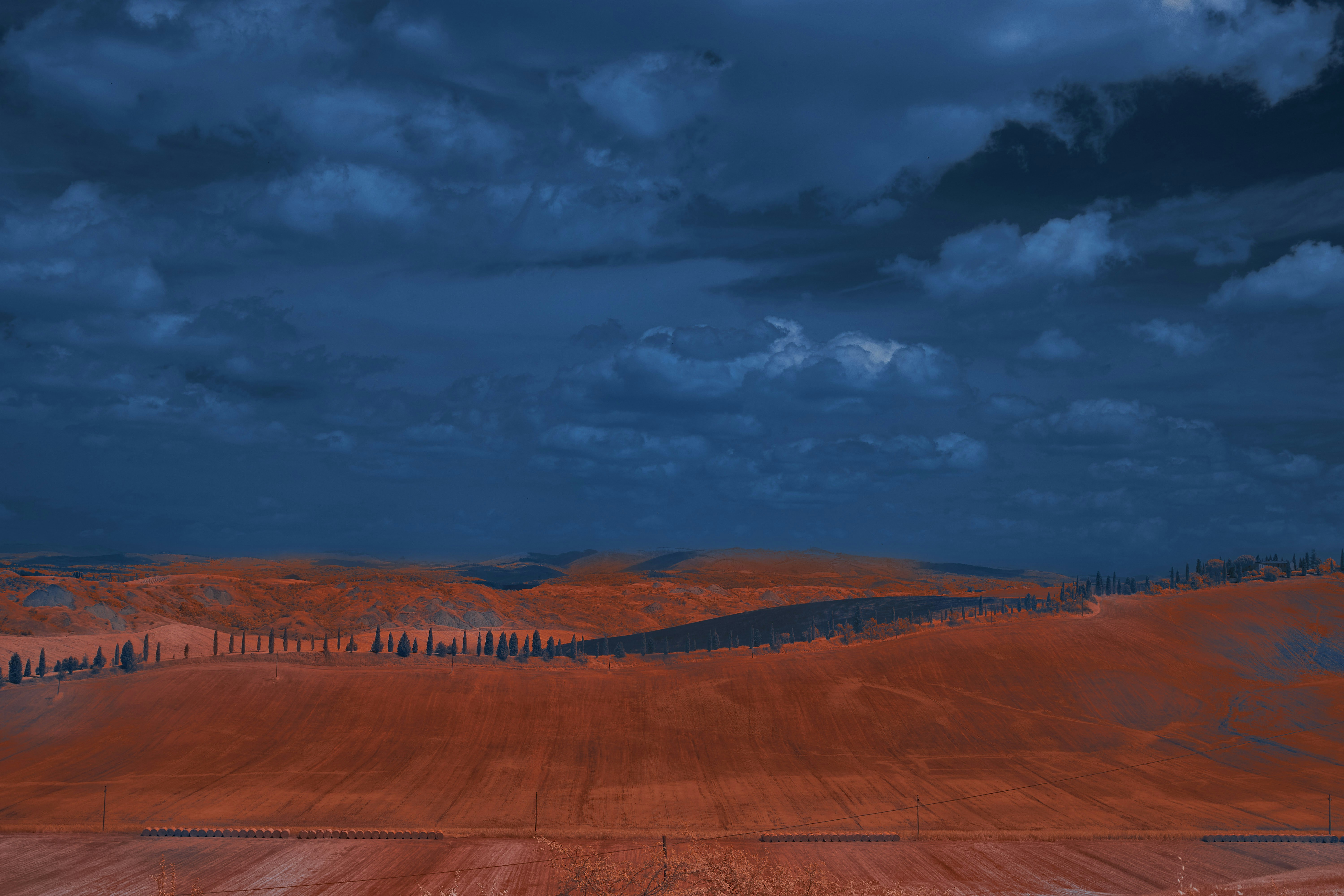 Photo by wolfgang_hasselmann