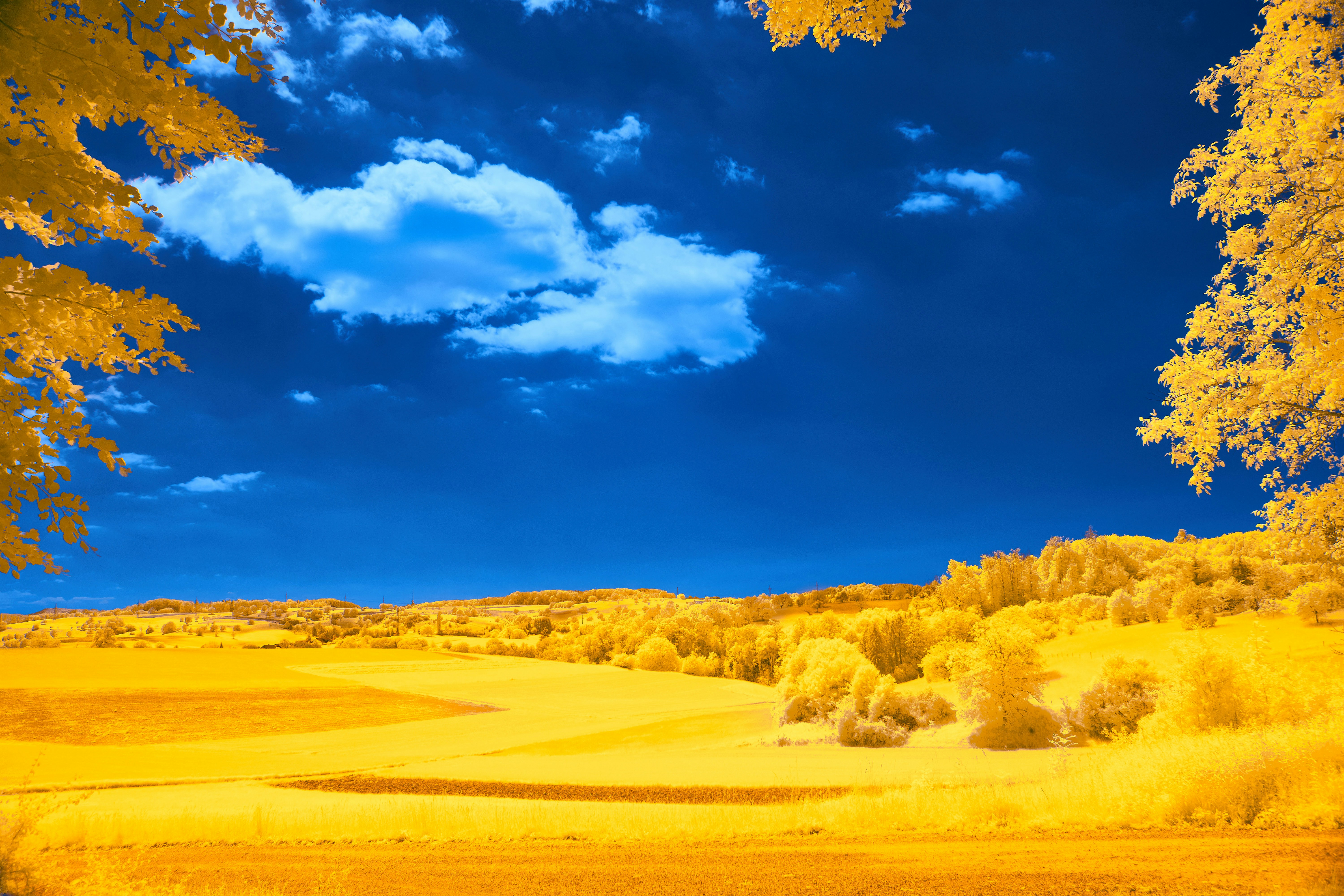 Photo by wolfgang_hasselmann