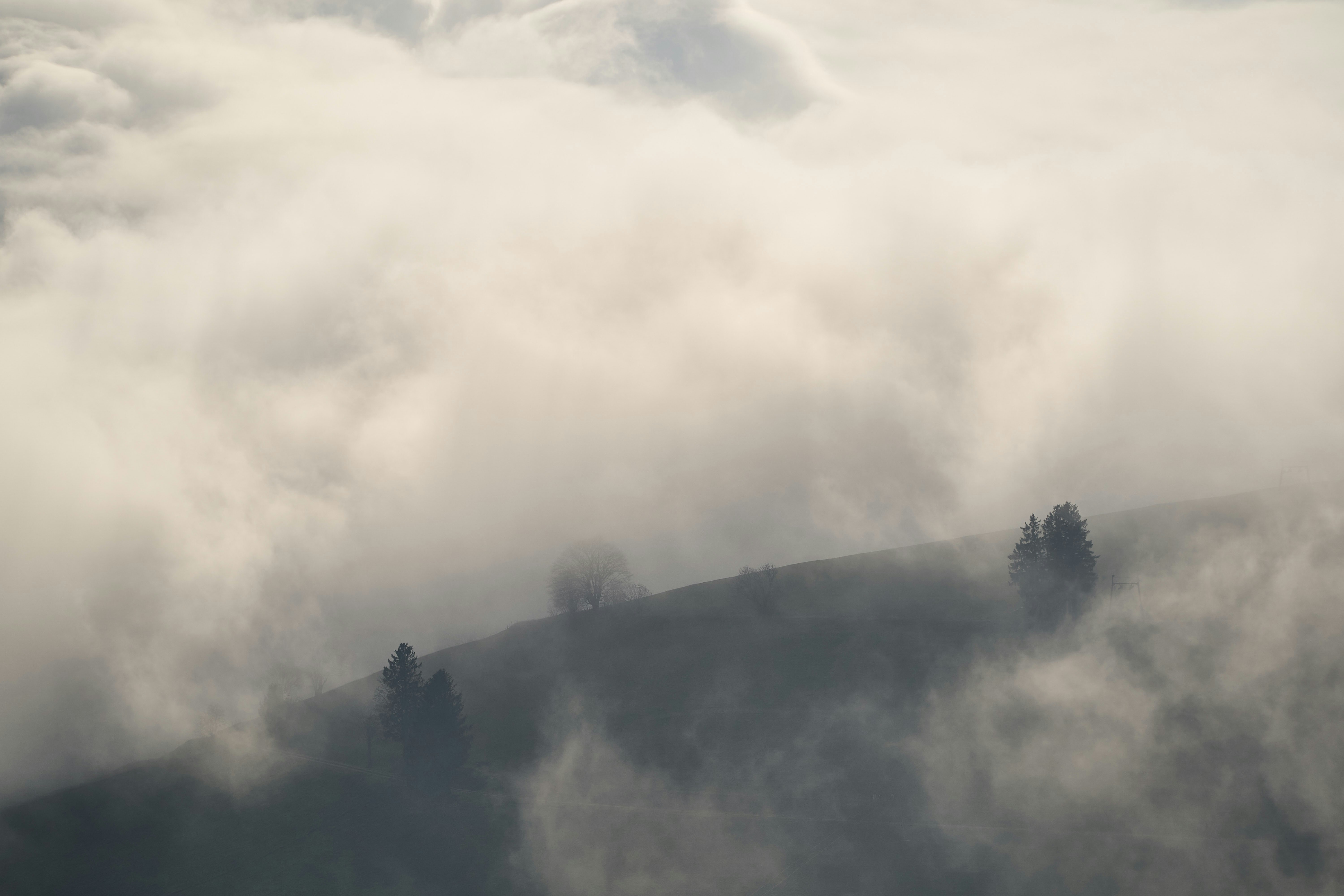 Photo by wolfgang_hasselmann