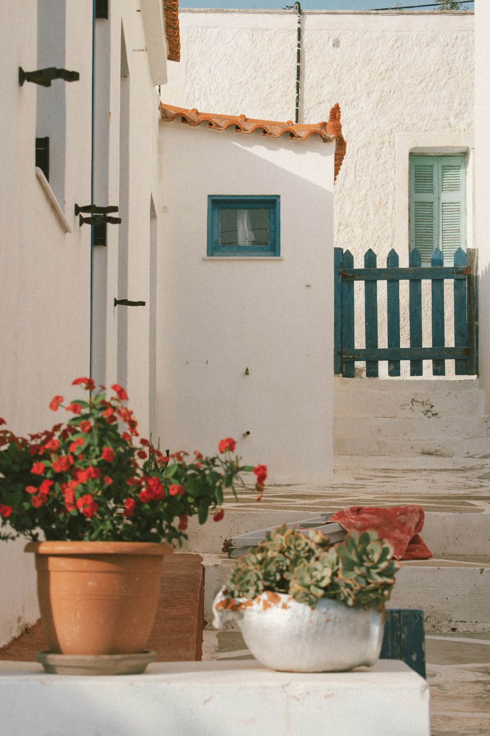 a couple of potted plants outside a house