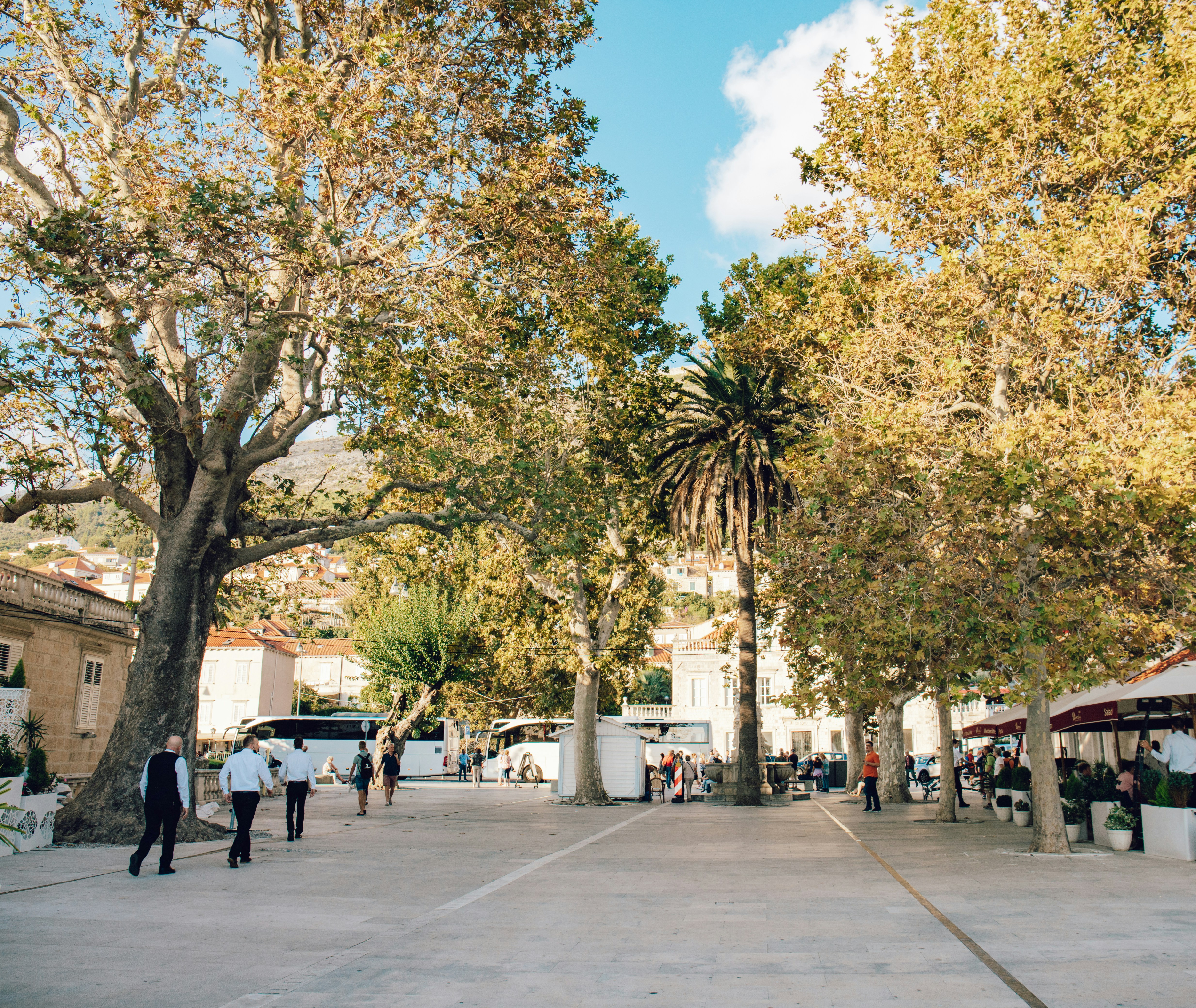 A group of people walking on a street with trees on either side
