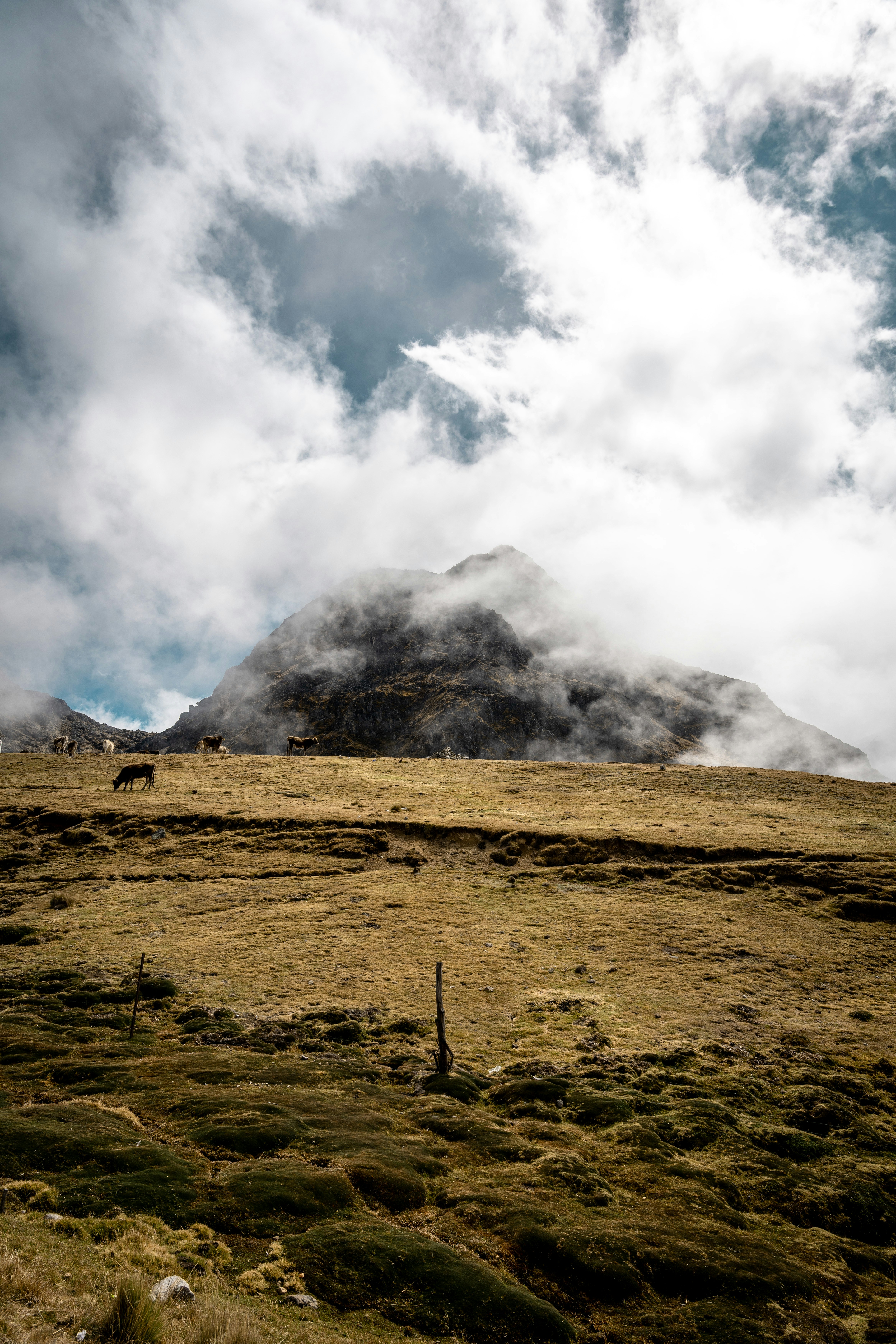 Photo by djaime_jago