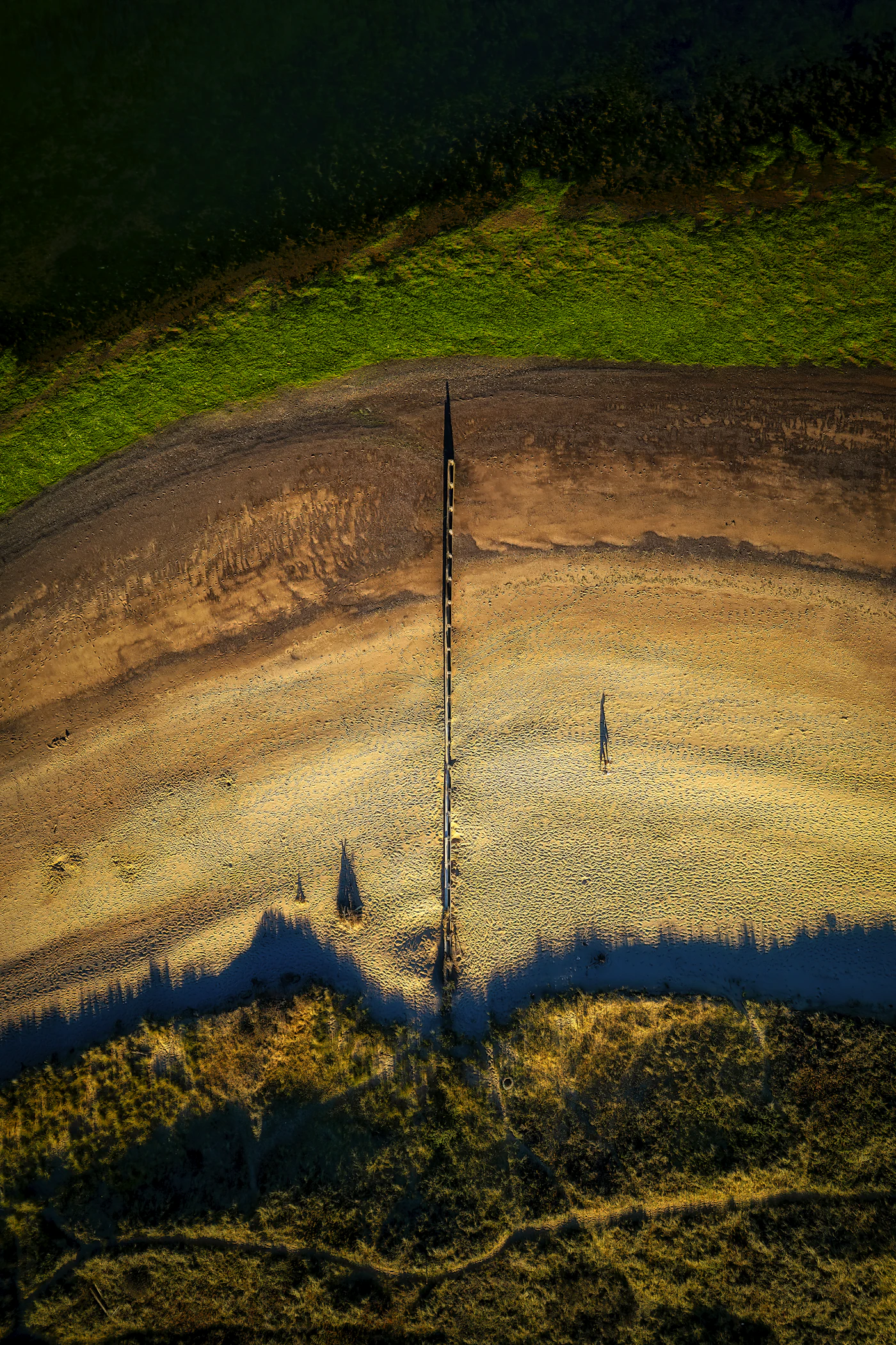 Aerial view over fields and trees at Dawlish Warren, Devon