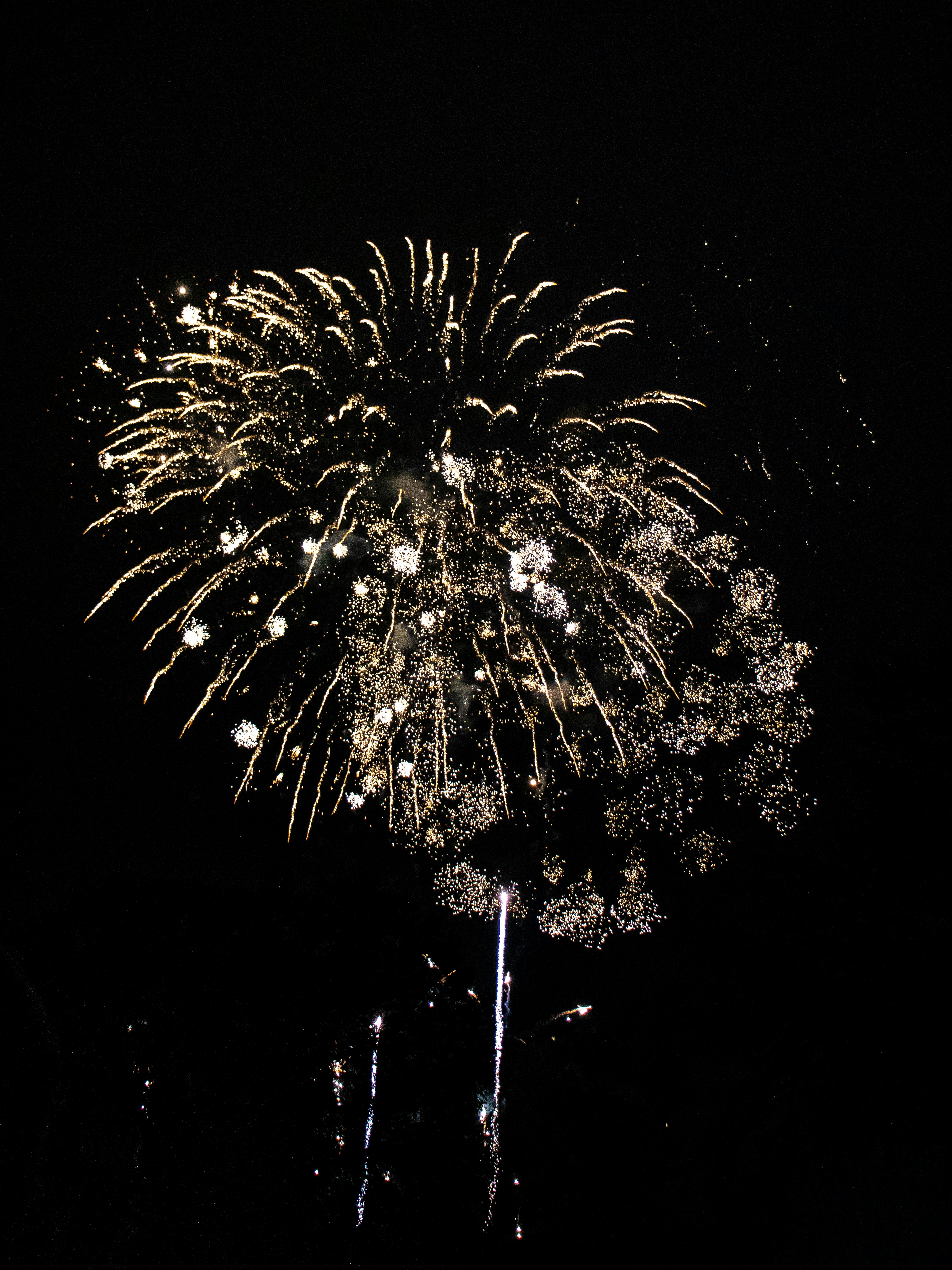 fireworks in the night sky