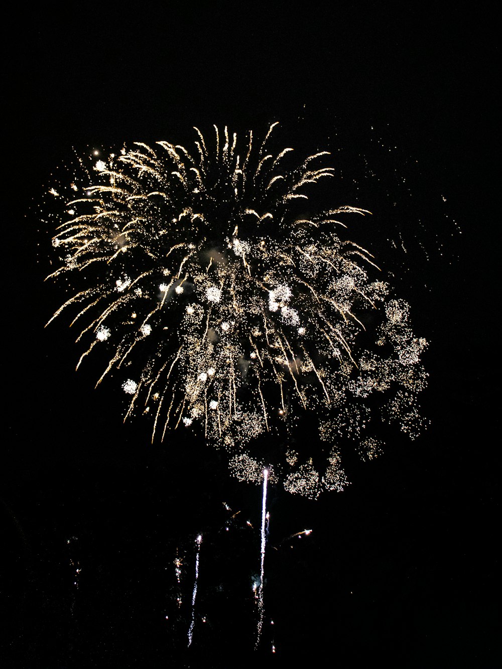 fireworks in the night sky