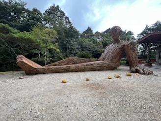 An artistic wooden sculpture designed for outdoor spaces.