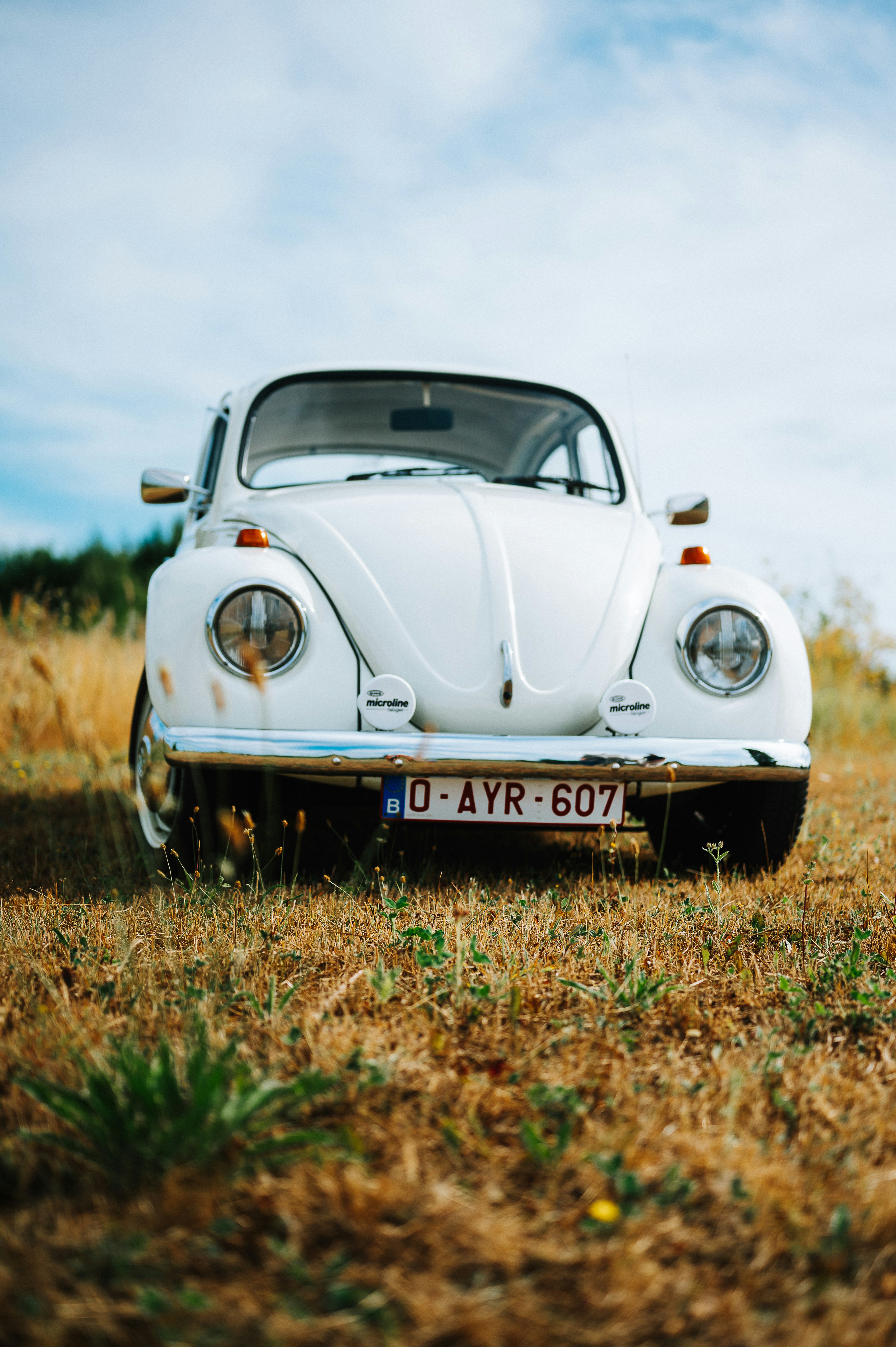 Photo by lucky_photography