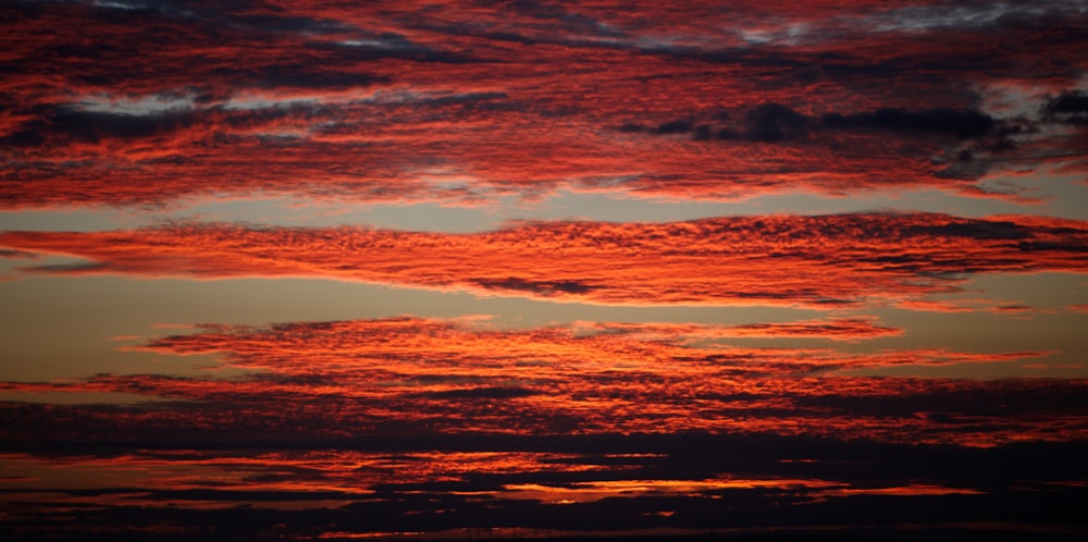 a pink and purple sky