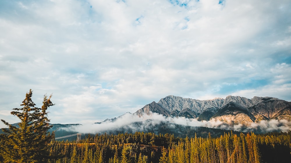 a snowy mountain range