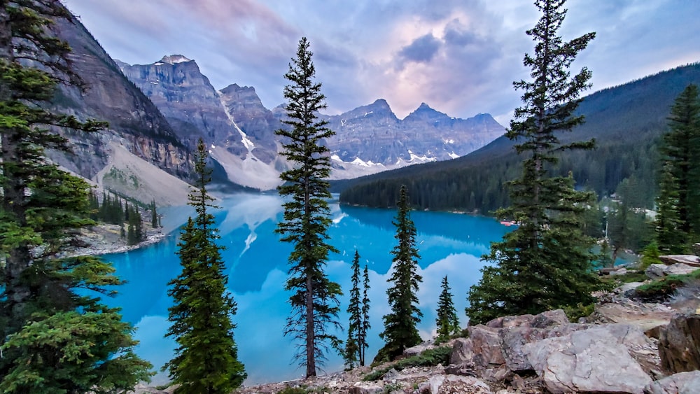 Moraine Lake surrounded by mountains