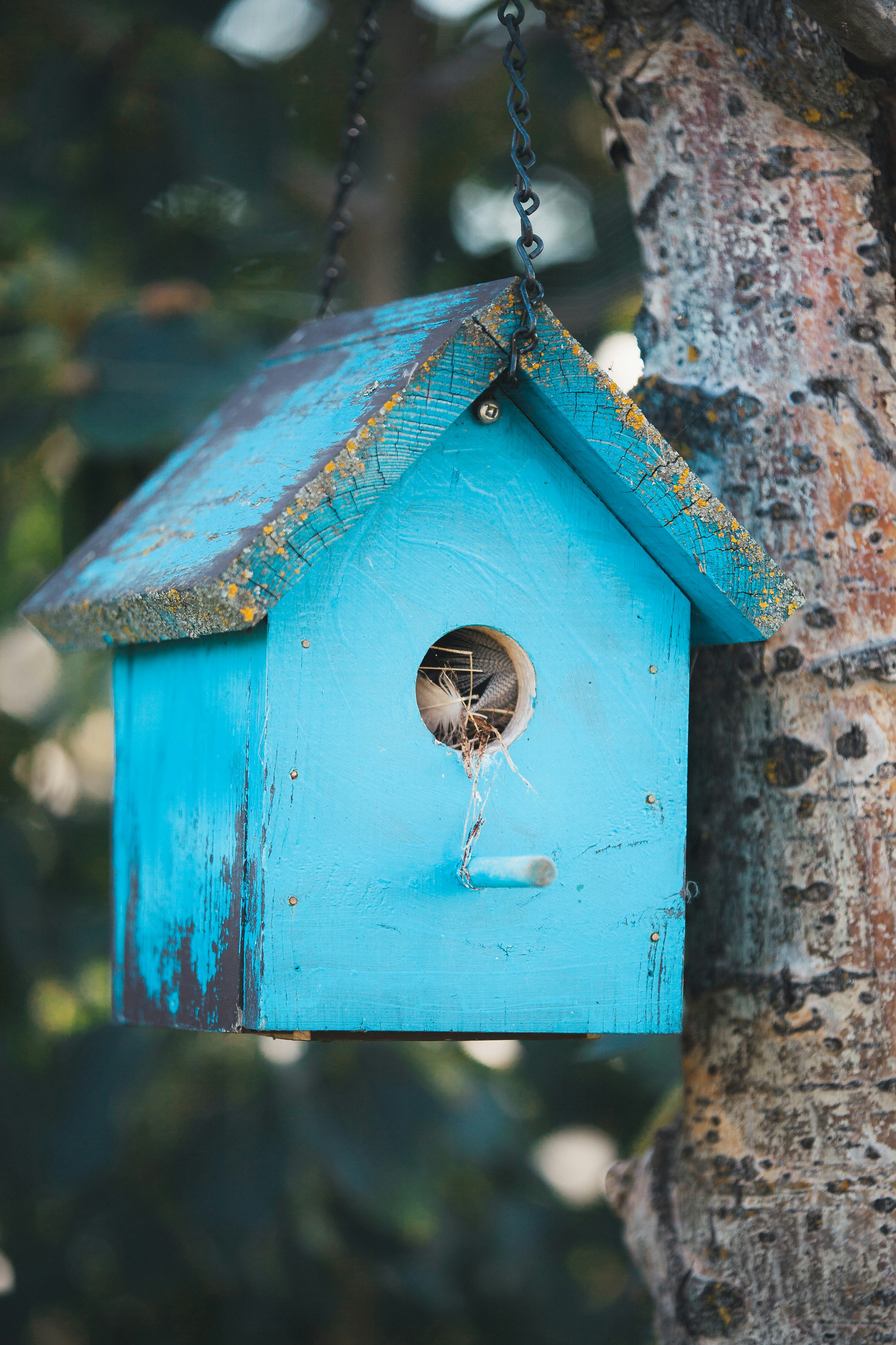 Photo by tristansosteric