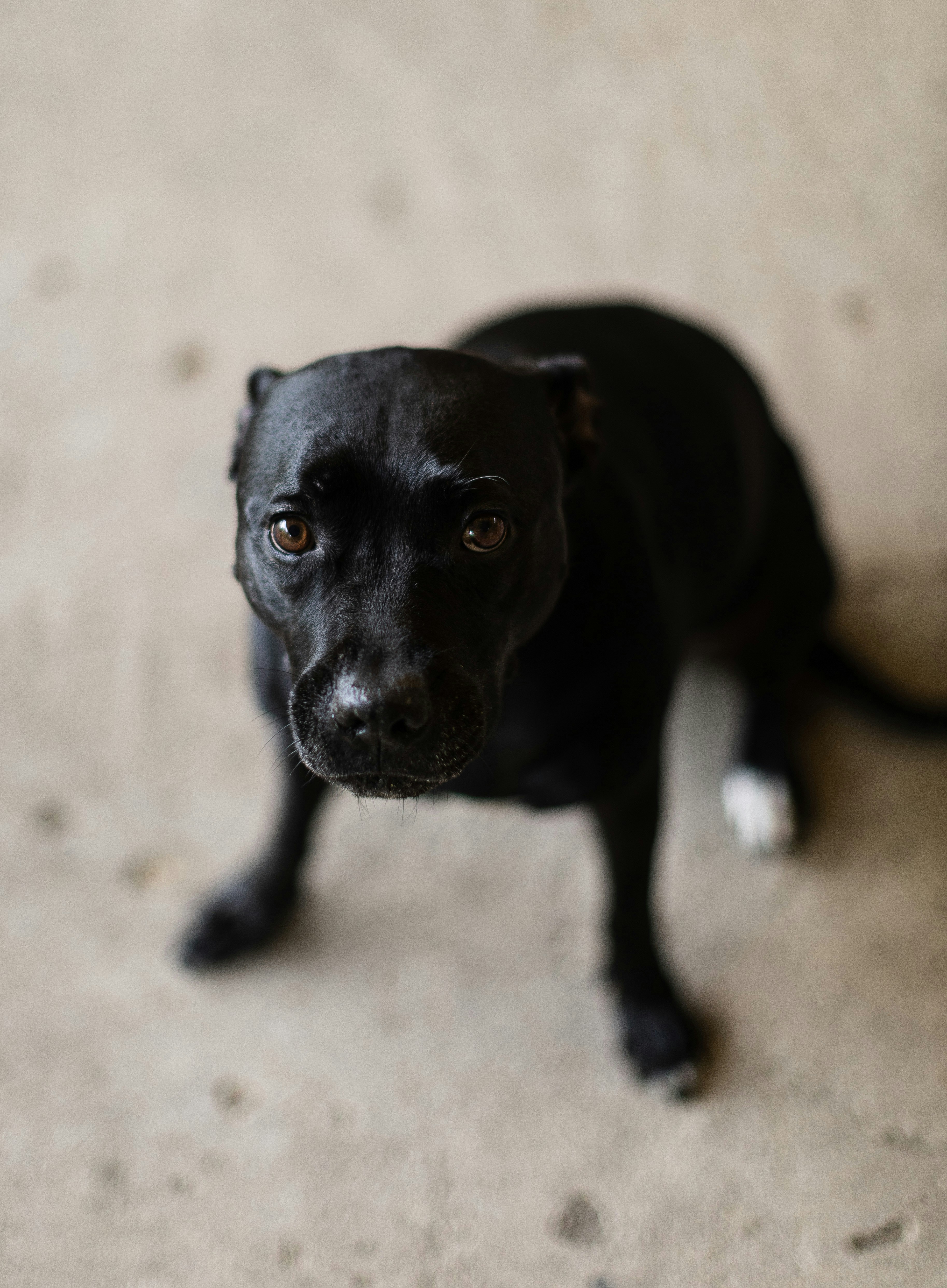 Photo by victor_vector