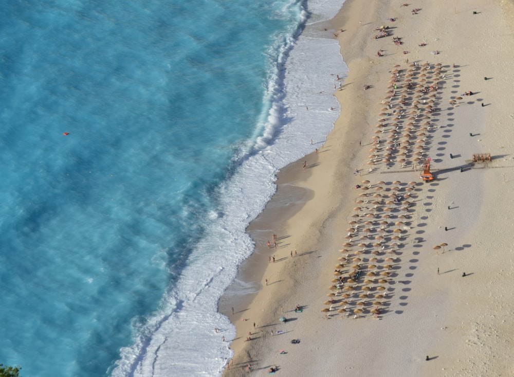 a beach with people on it