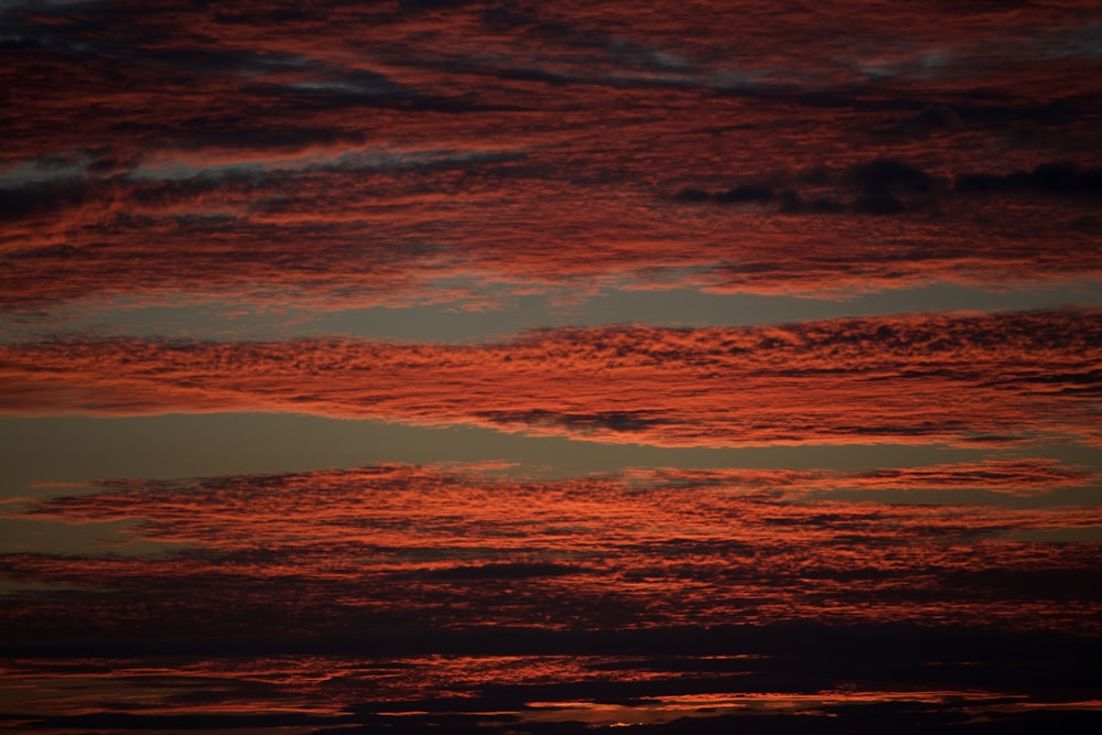 a pink and purple sky