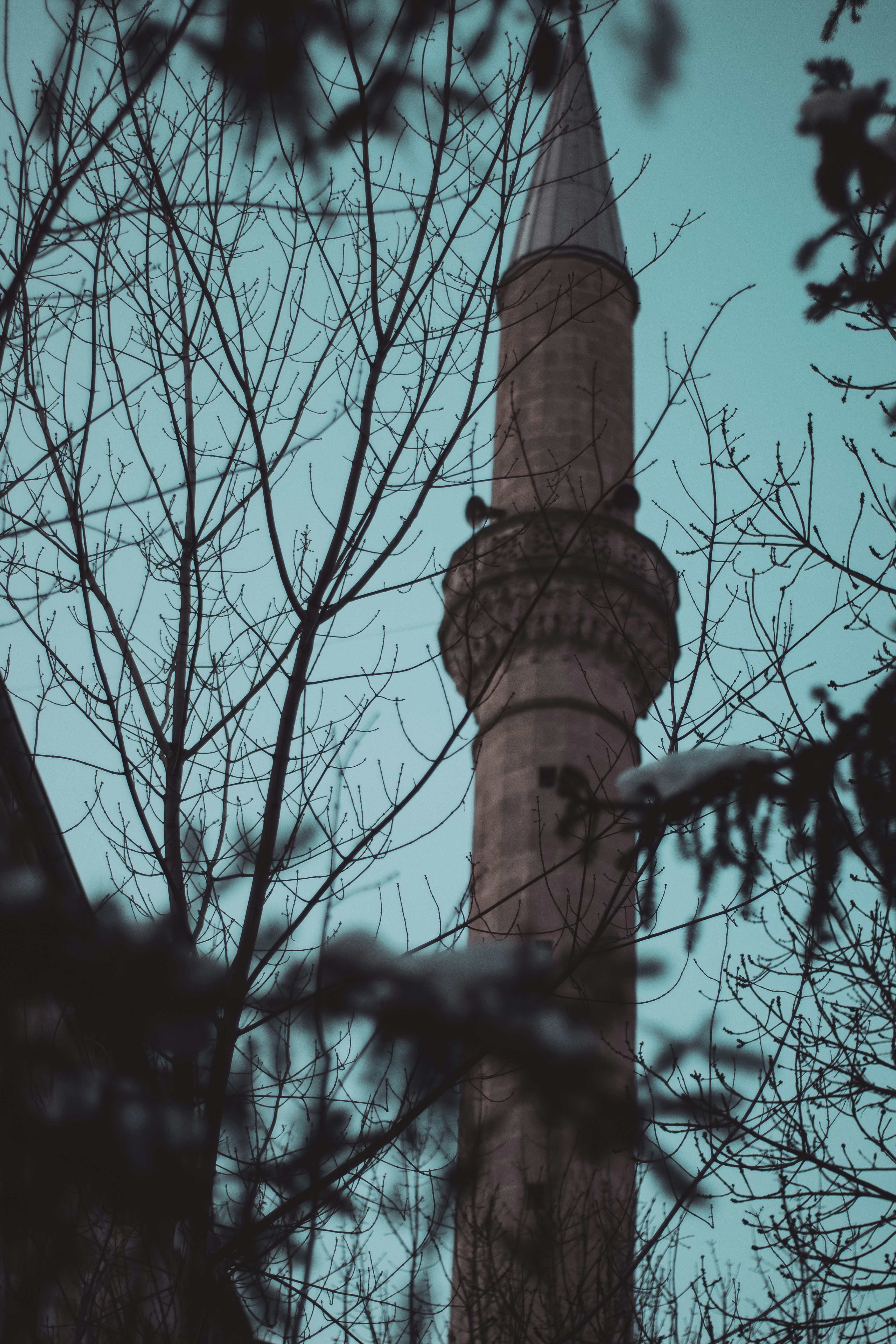 Photo by ttahasas
