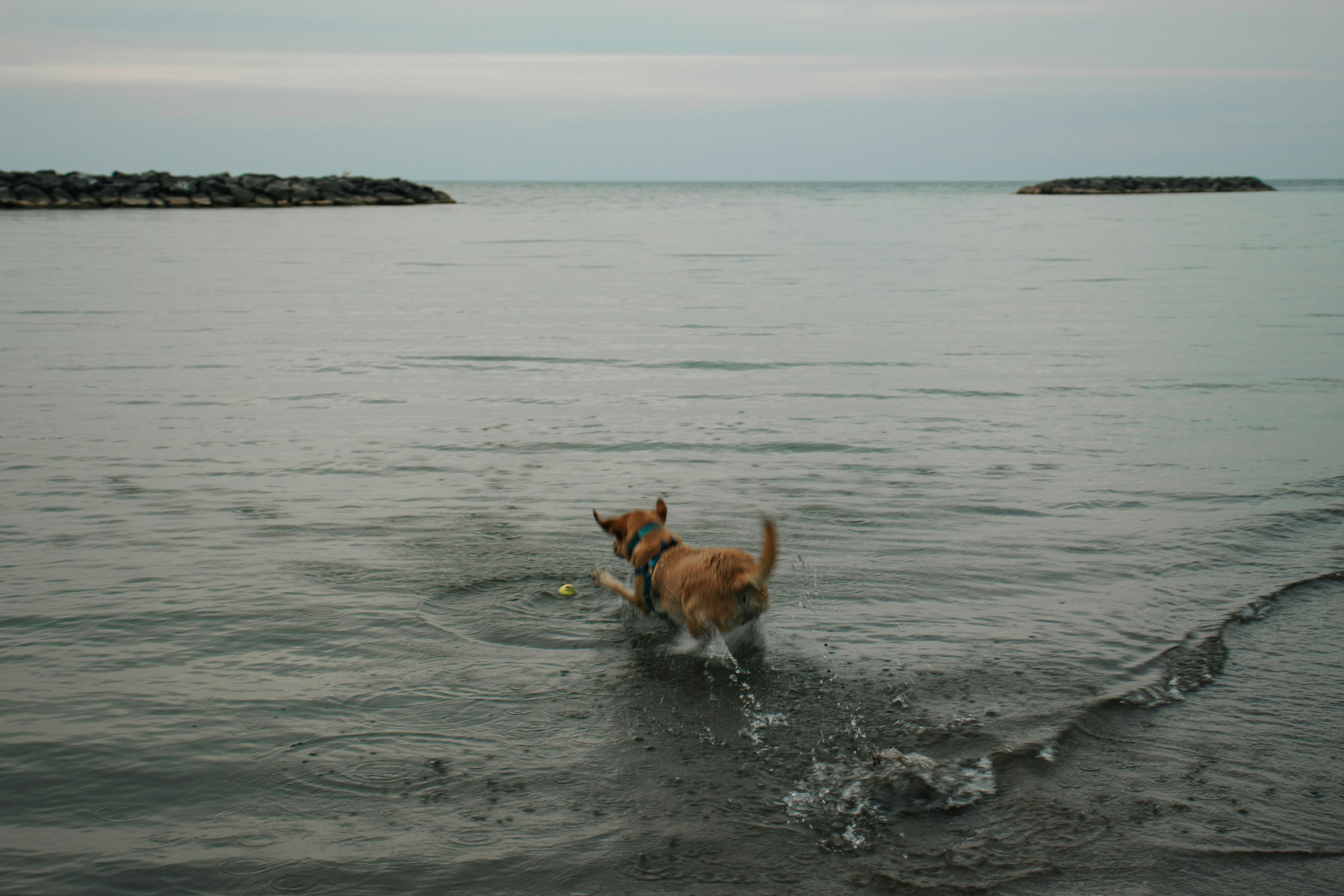 Photo by sydmoore6