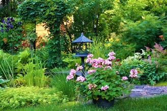 Lush garden corner with organized plant pots and decorative lanterns.