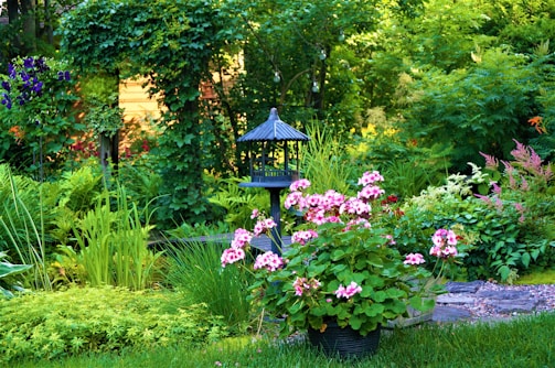Lush garden corner with organized plant pots and decorative lanterns.