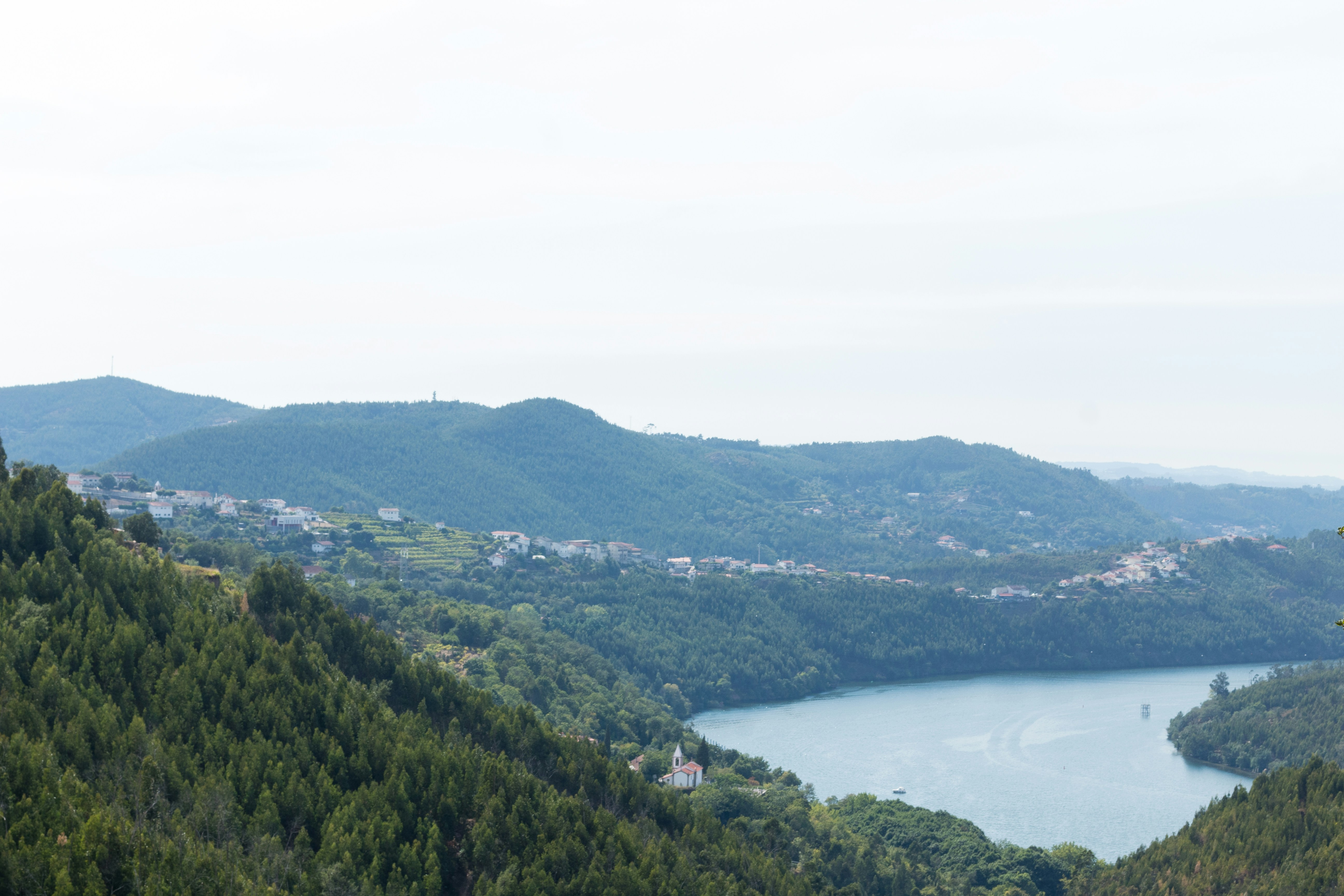 a body of water surrounded by trees, View of the Douro river and valley in Raiva, Castelo de Paiva.