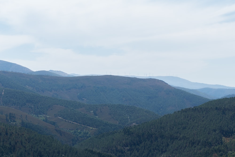 a landscape with hills and trees