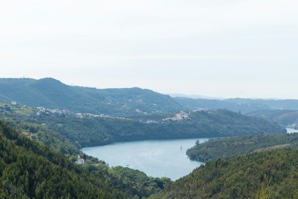 A lake surrounded by trees — Douro Valley, Portugal