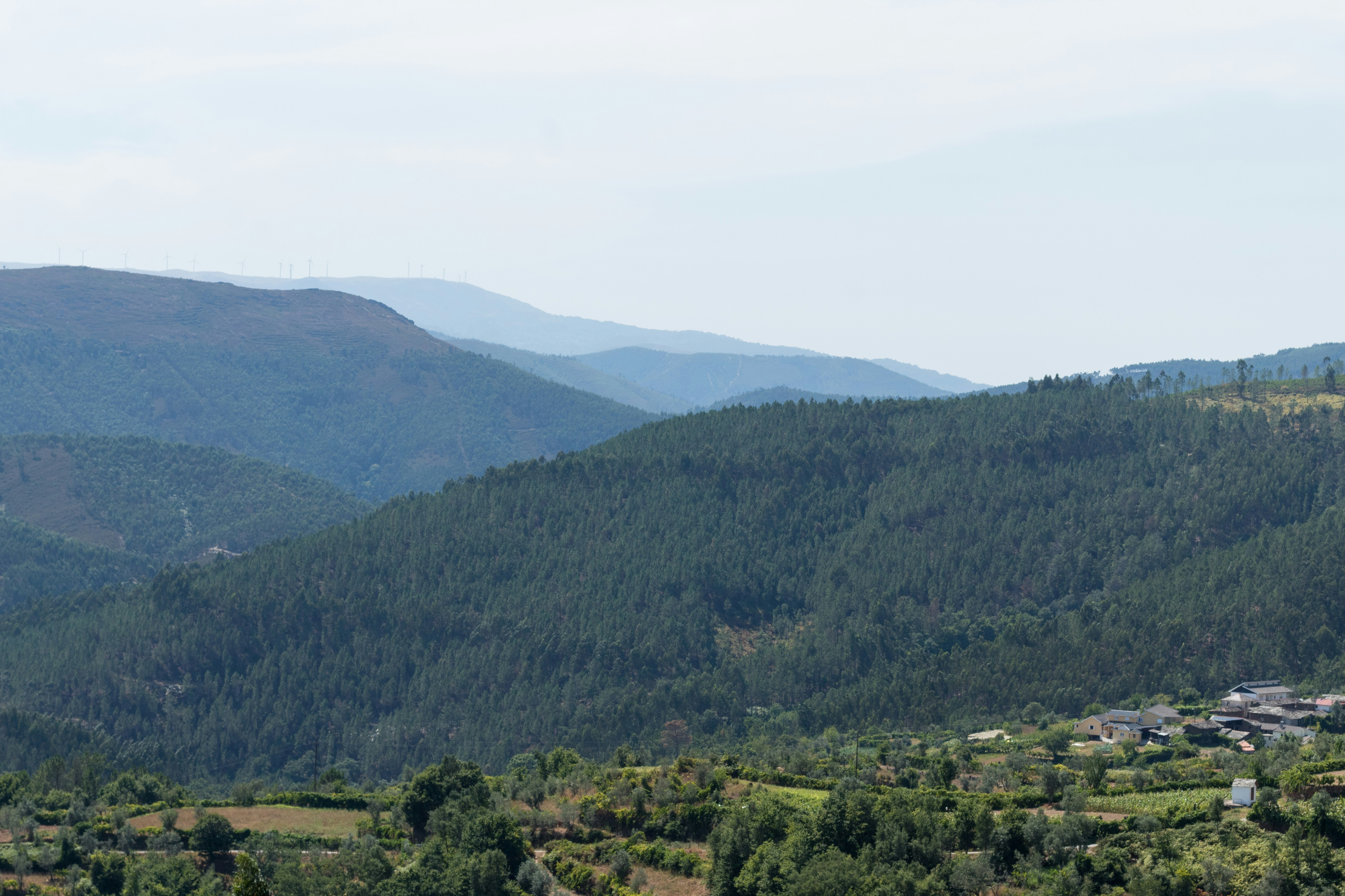 Photo by asfotosde1enorme