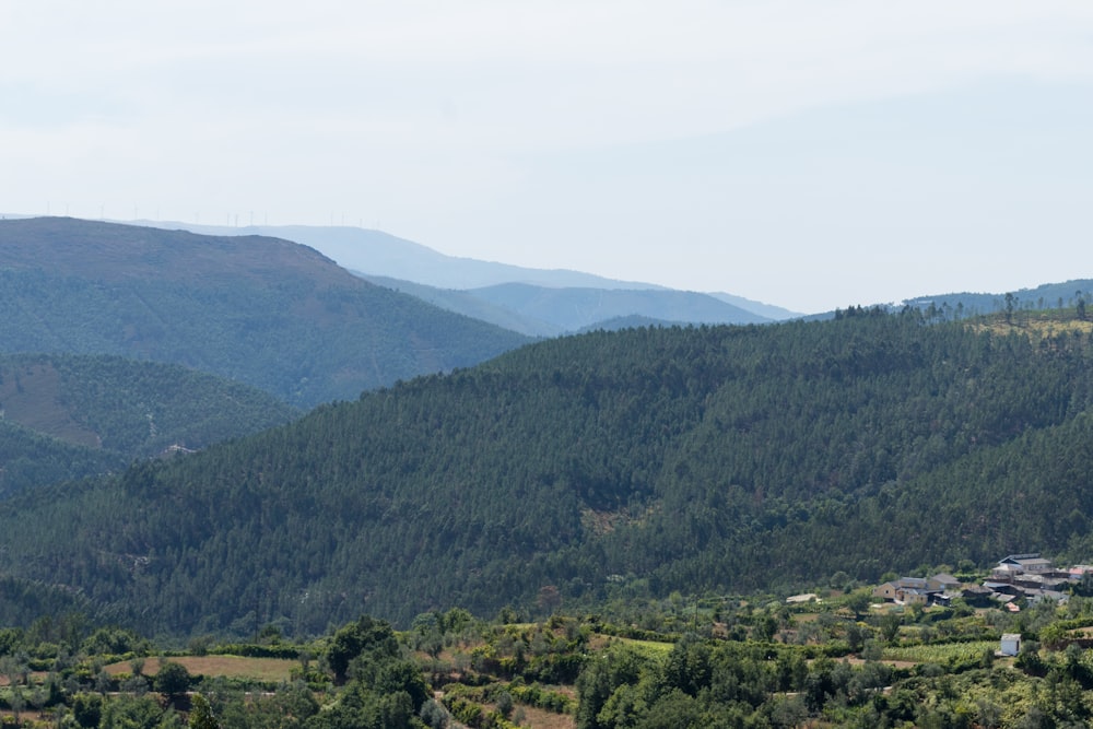 a landscape with trees and hills