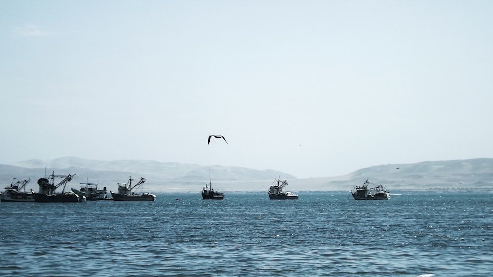 a group of boats in the water