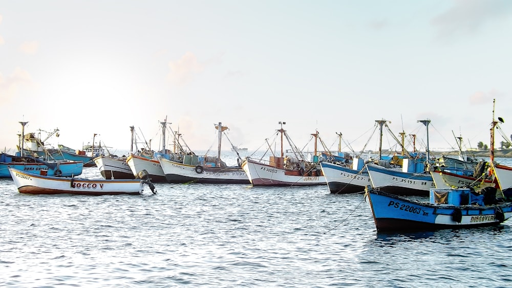 boats in the water