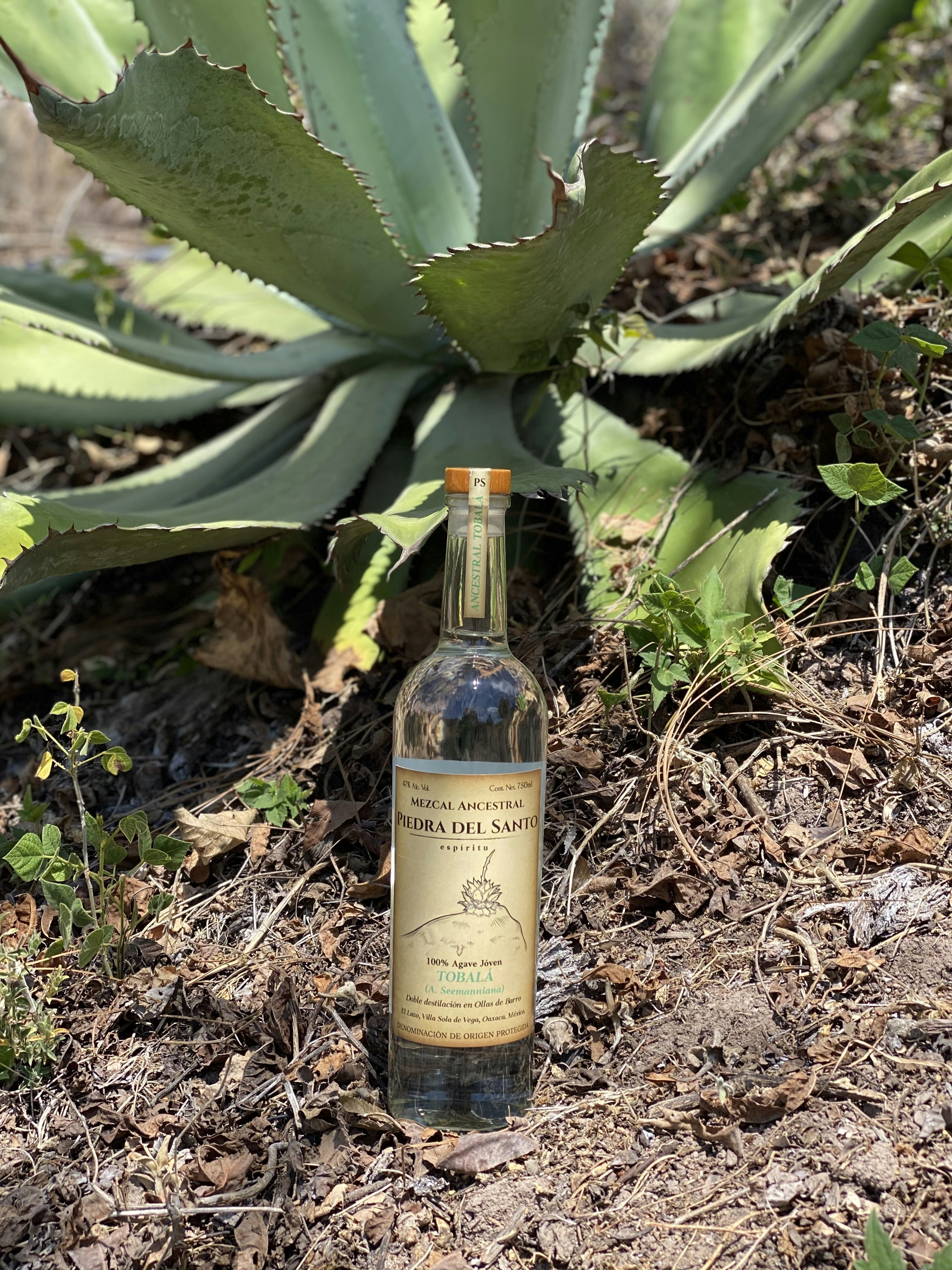 Mezcal Nanixhe Único