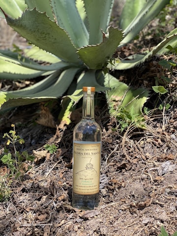Elegant bottle of mezcal with traditional Mexican agave fields in the background.