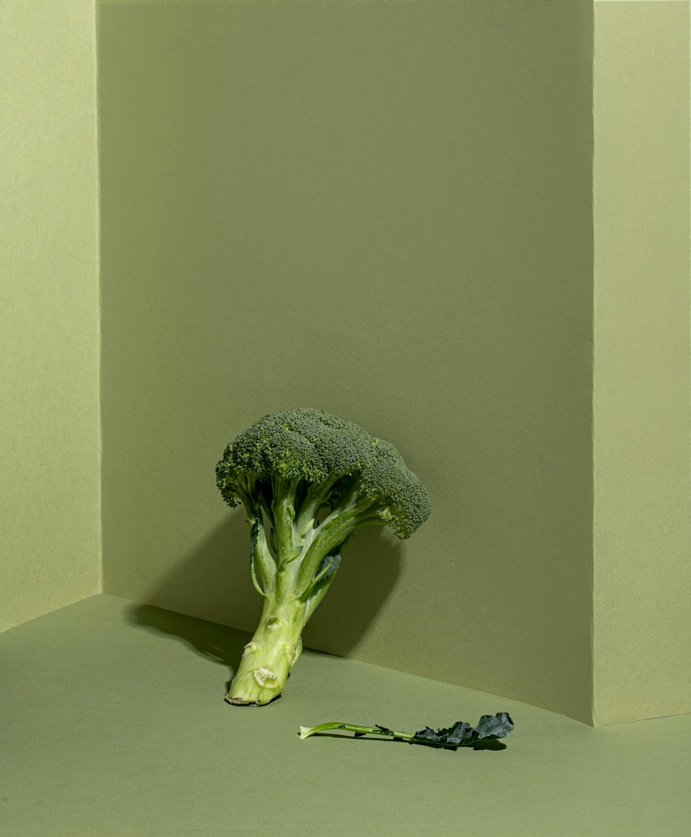 a broccoli head on a table